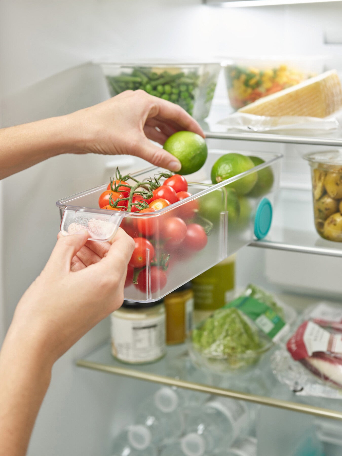 FridgeStore Small Storage Bin