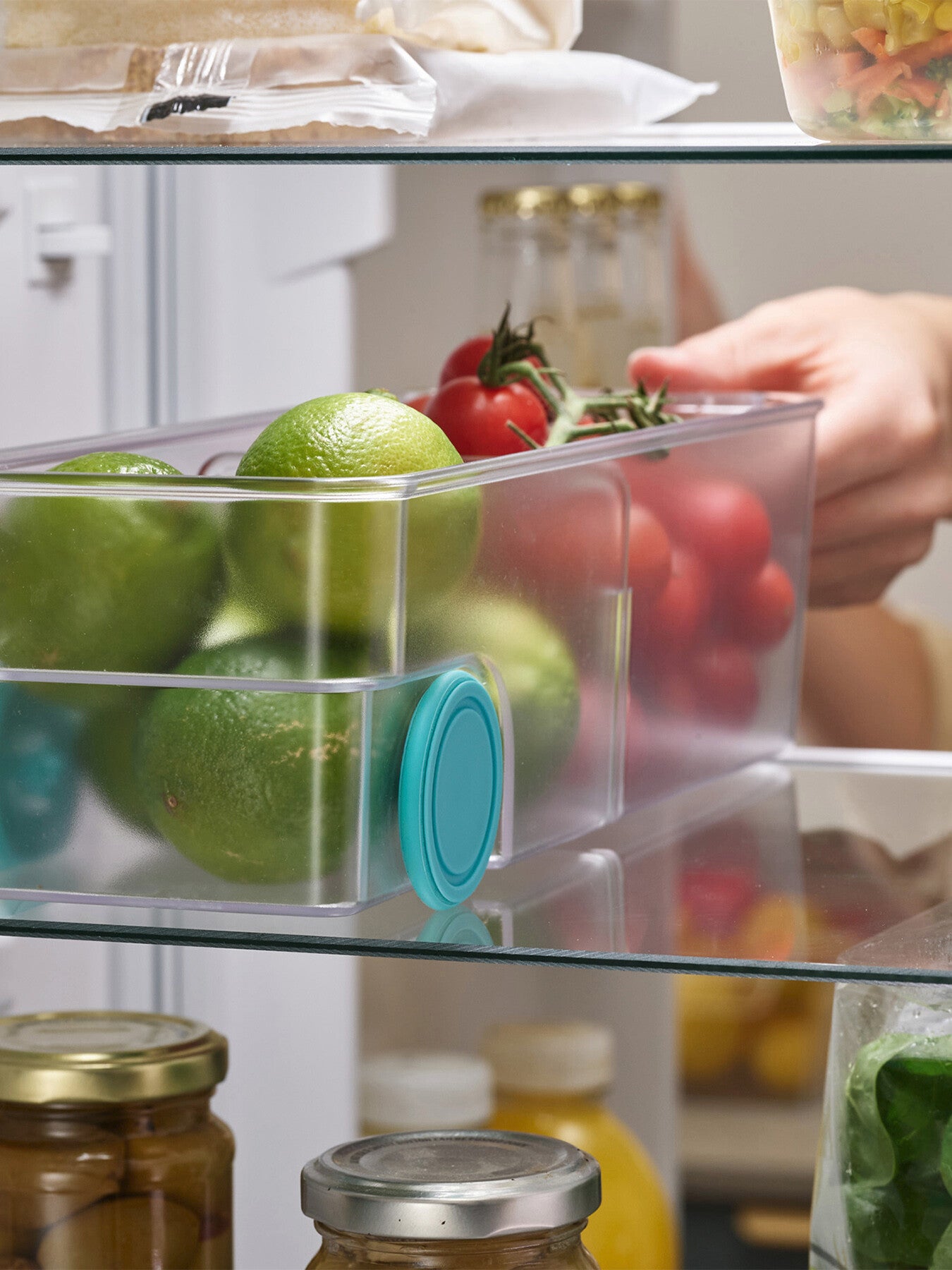 FridgeStore Small Storage Bin