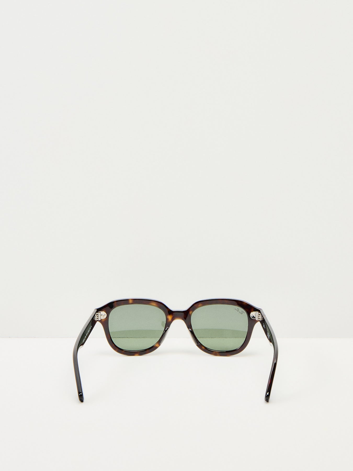 RB4398 Erik Acetate Sunglasses