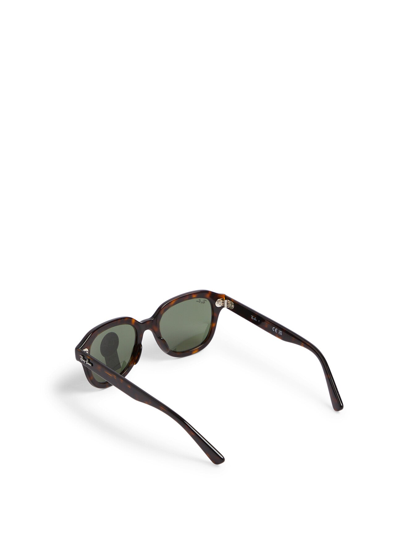 RB4398 Erik Acetate Sunglasses