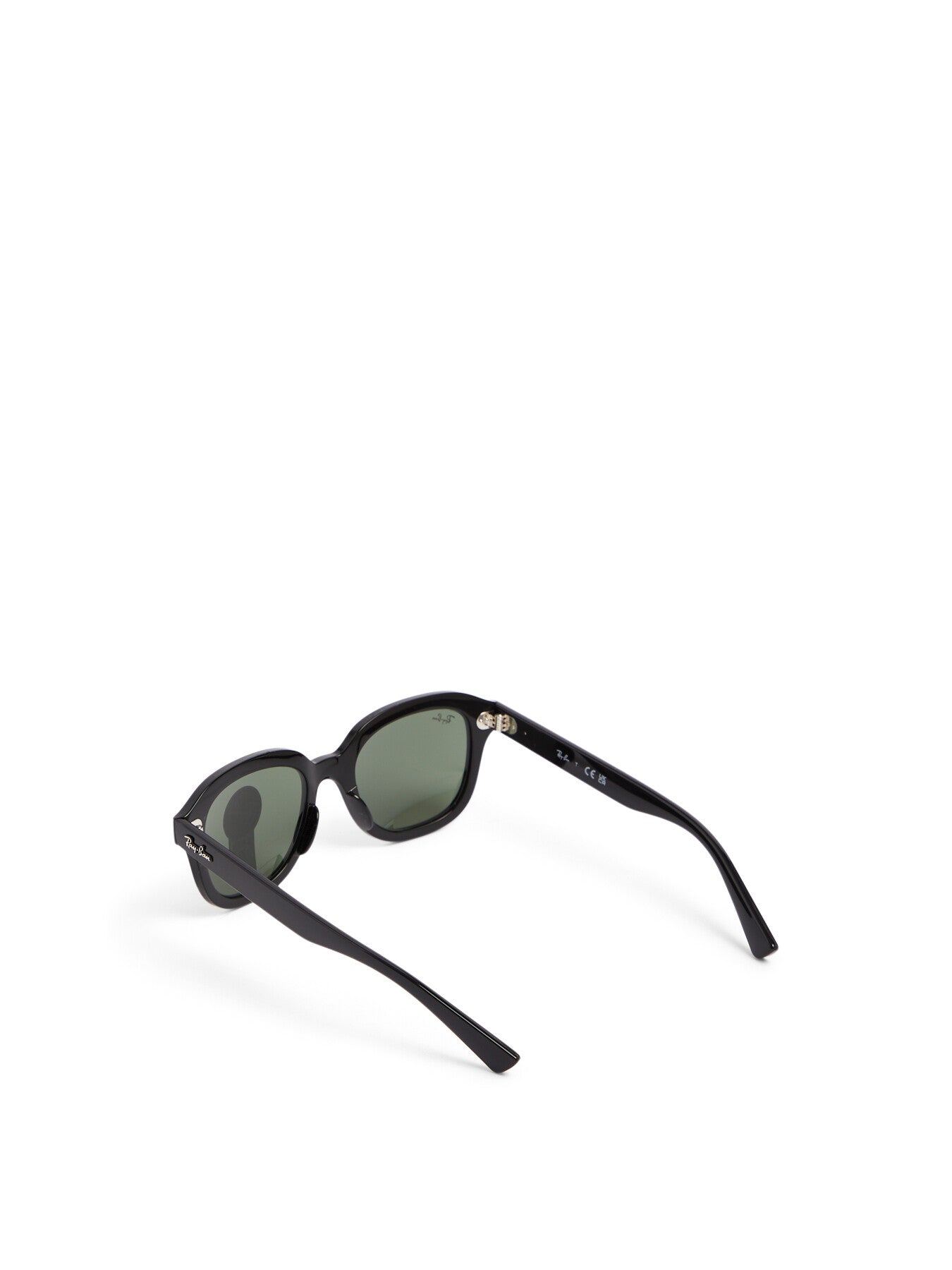 RB4398 Erik Acetate Sunglasses