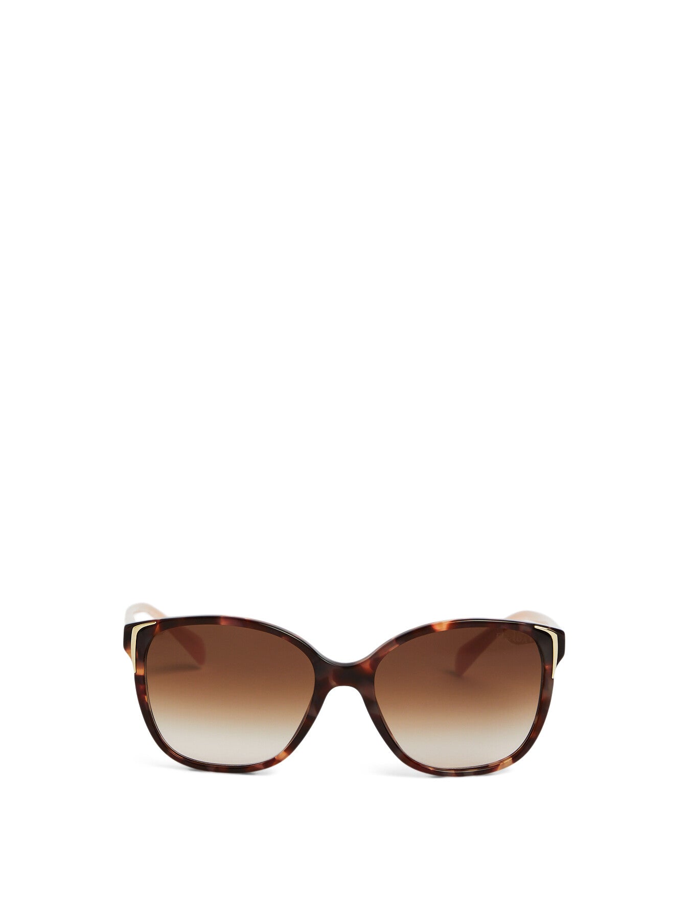 Square Acetate Sunglasses