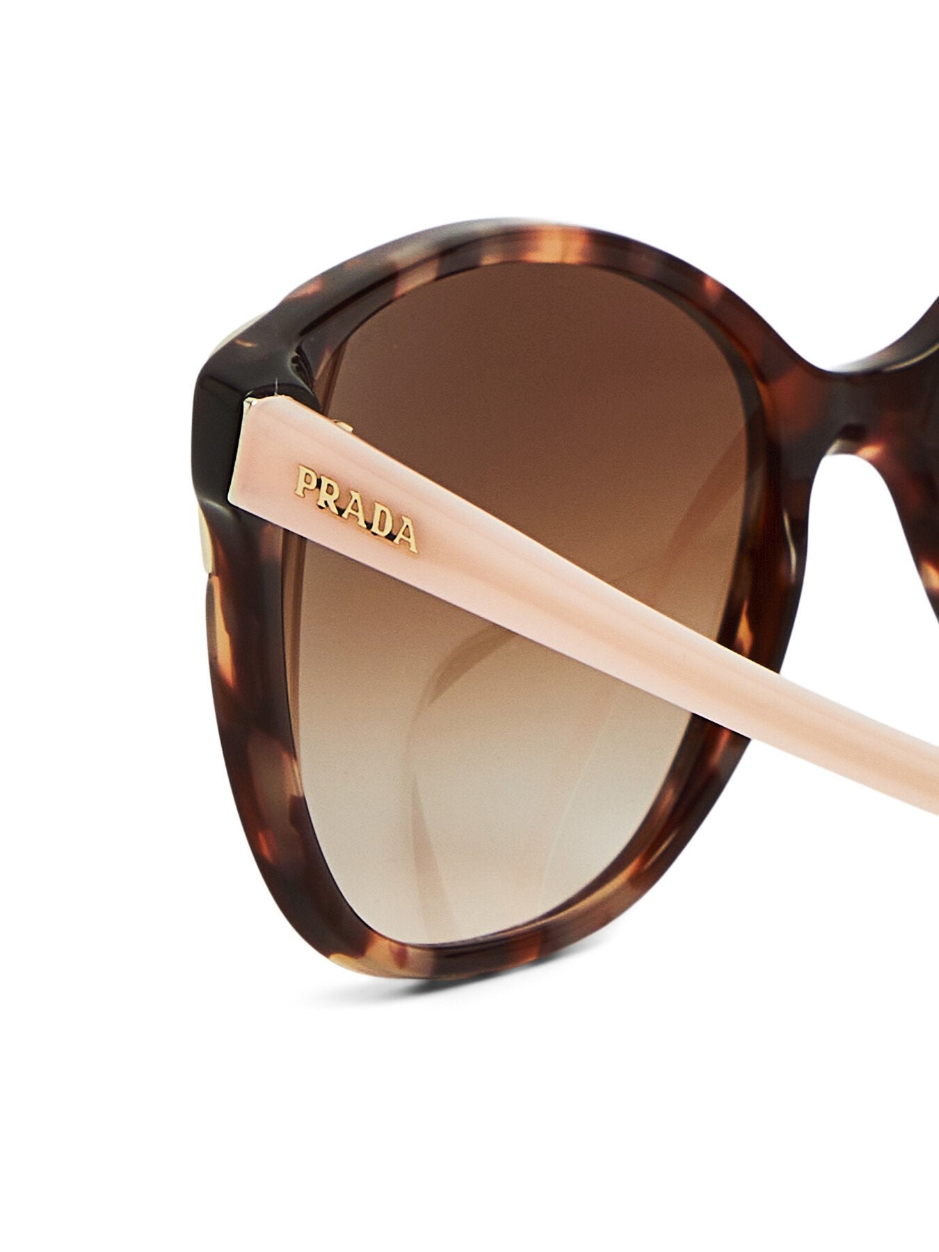 Square Acetate Sunglasses