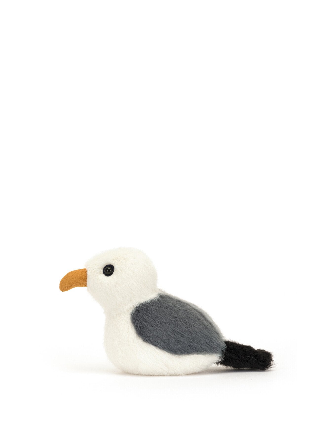 Birdling Seagull