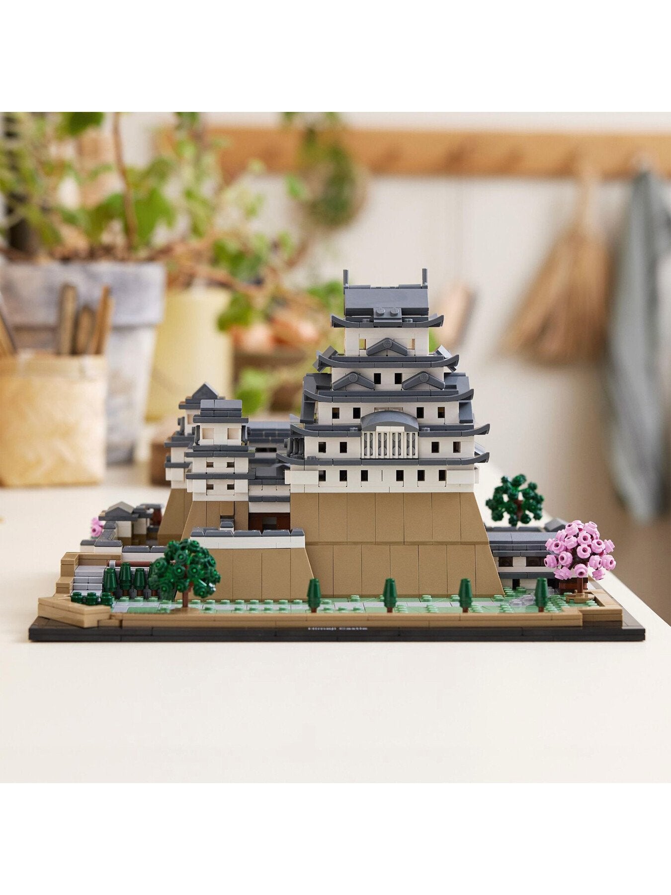 Himeji Castle 21060