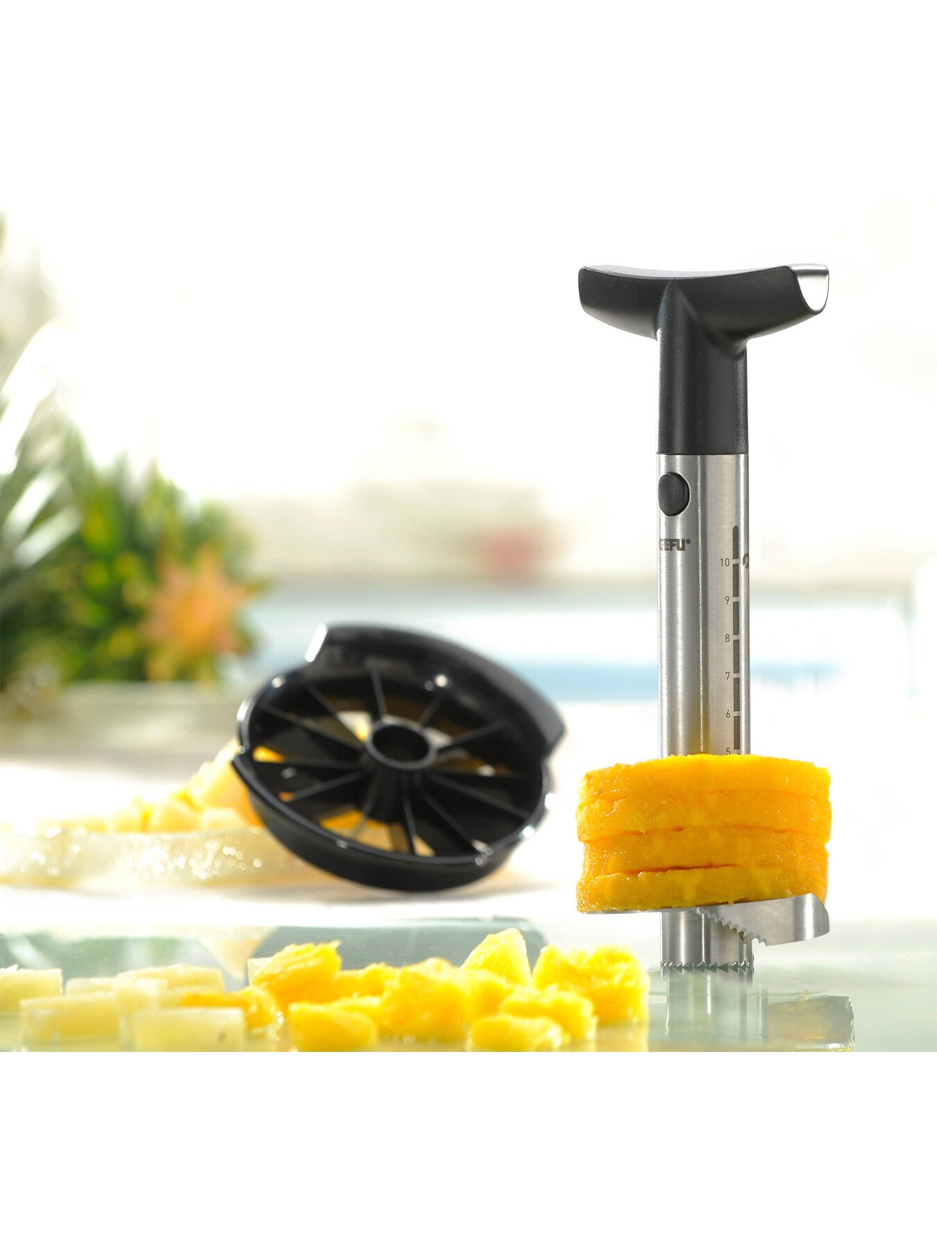 PROFESSIONAL Pineapple Slicer