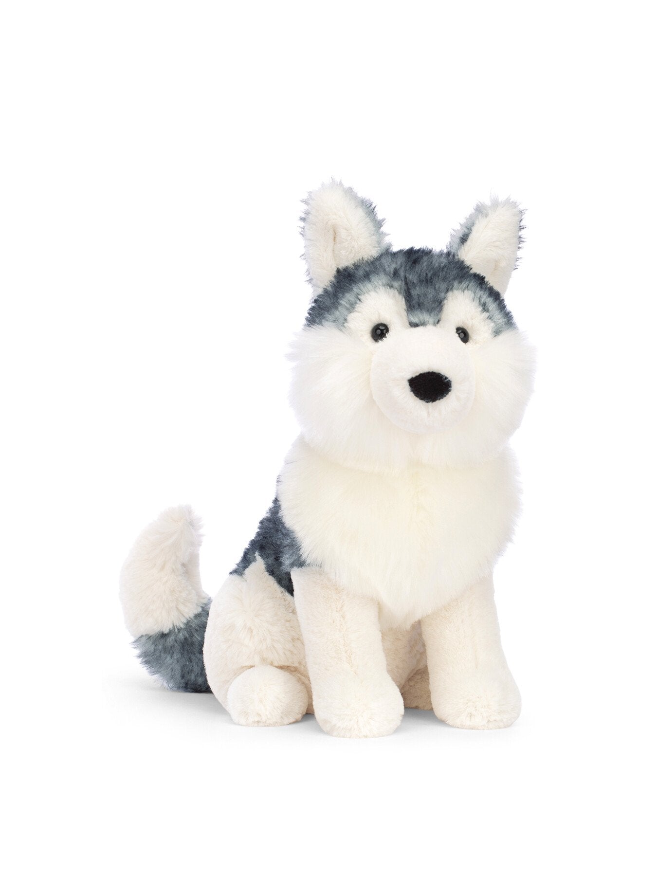 Jackson Husky