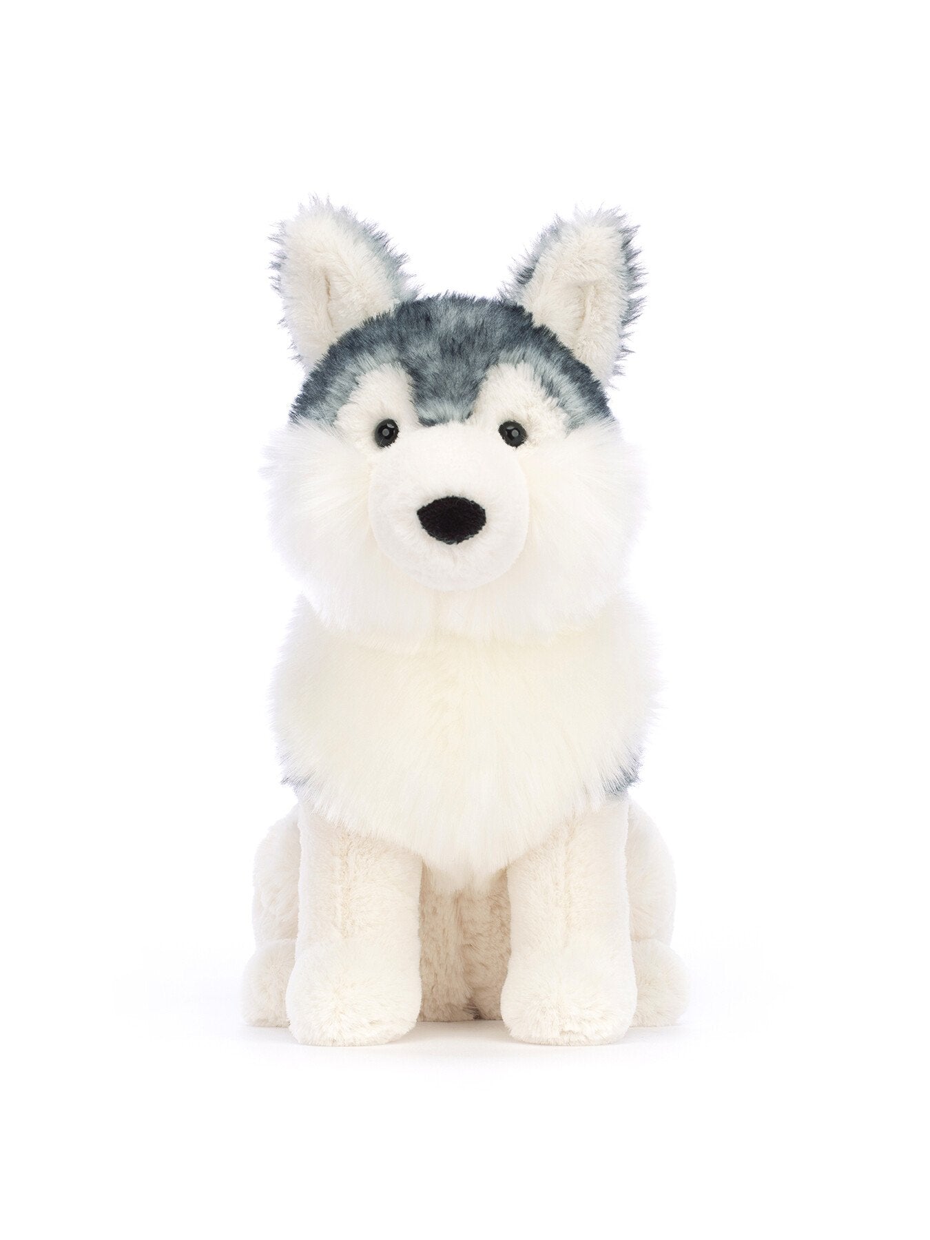 Jackson Husky