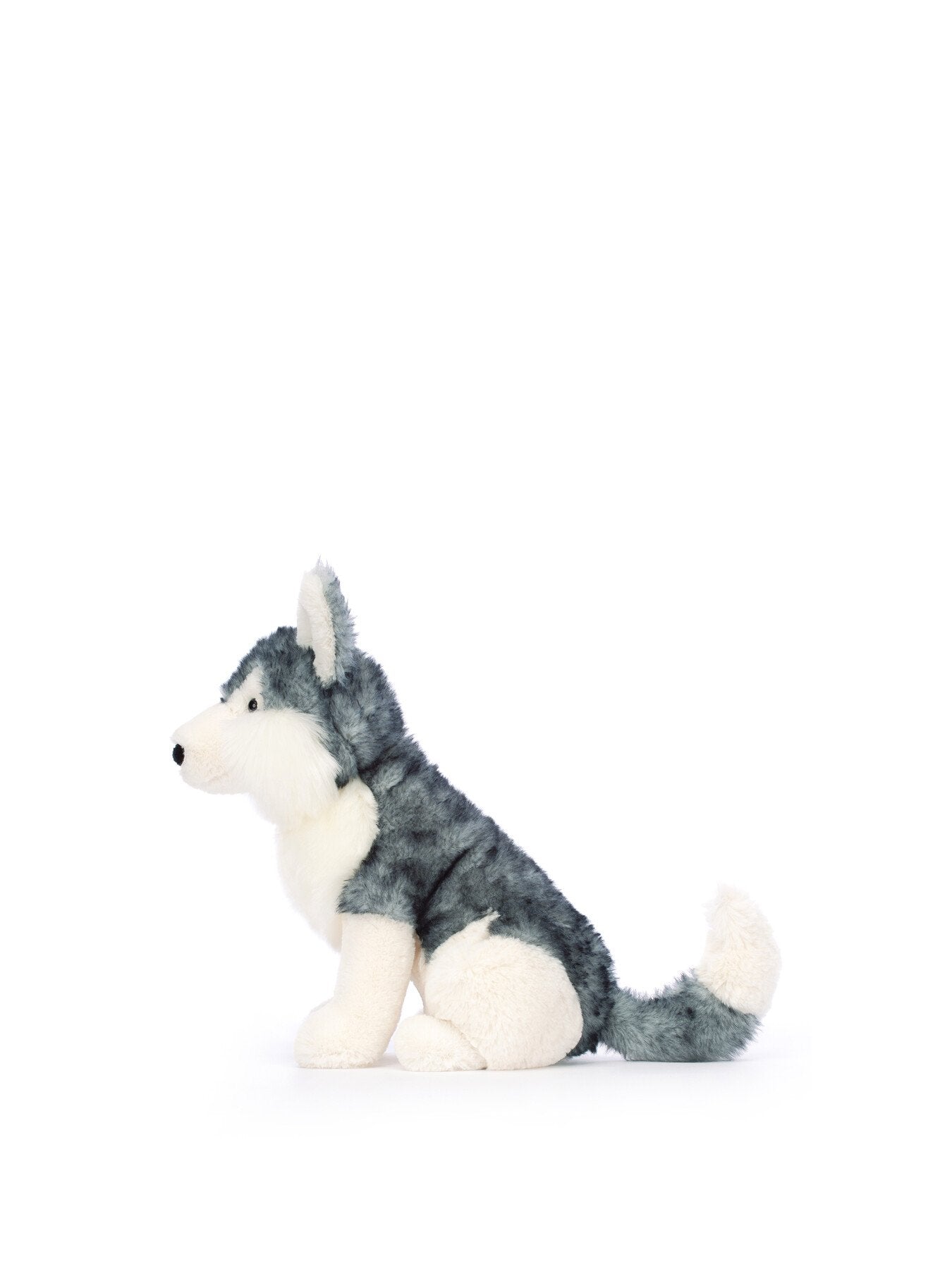 Jackson Husky