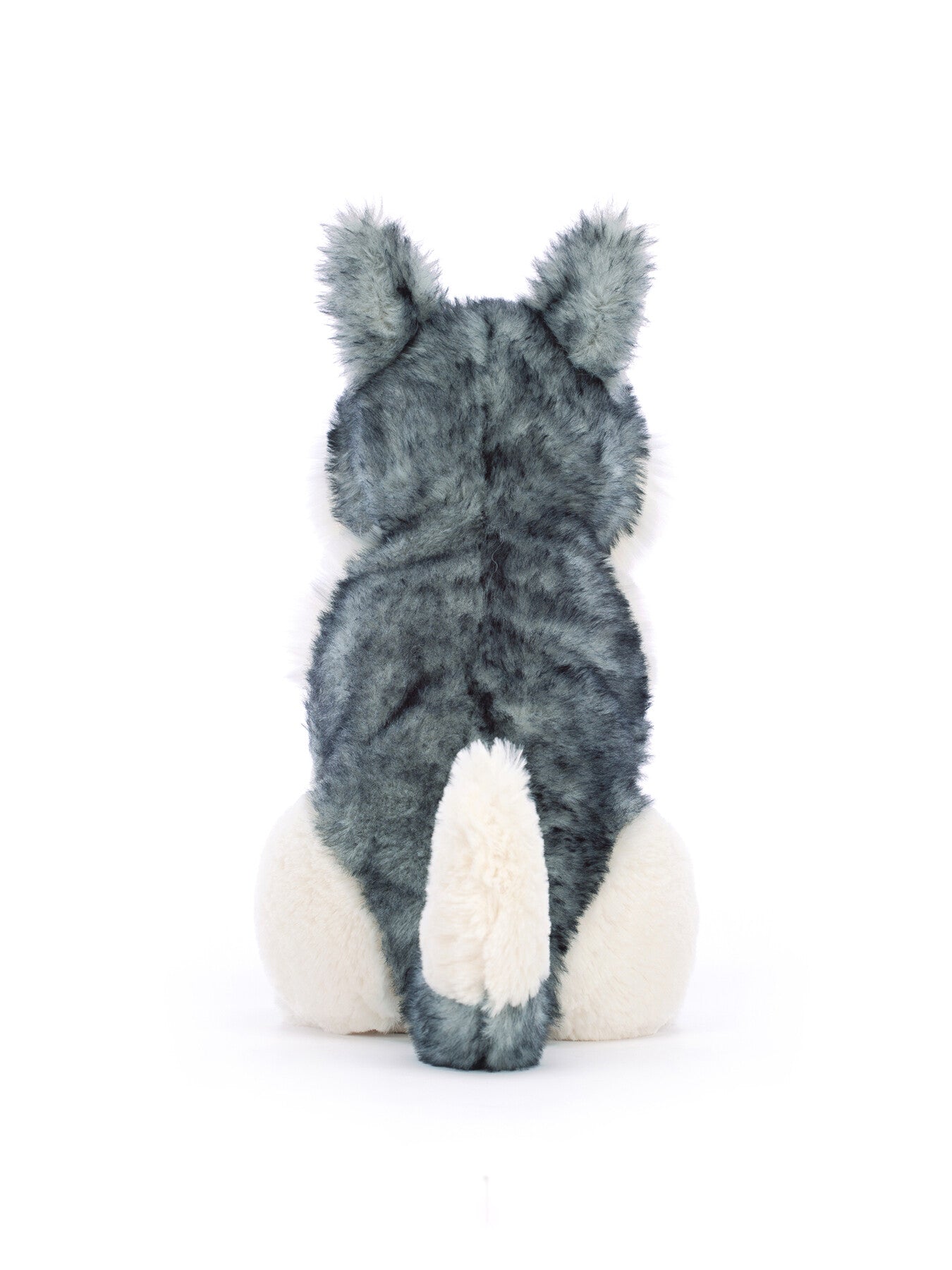 Jackson Husky