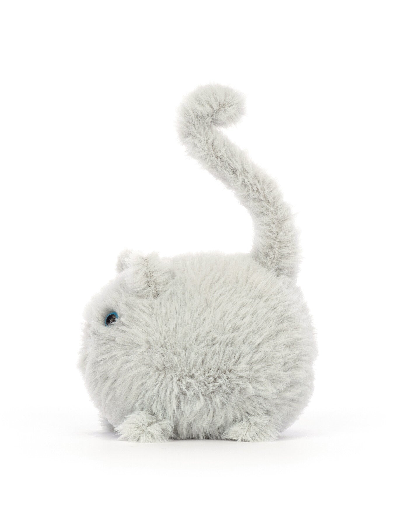 Kitten Caboodle Grey