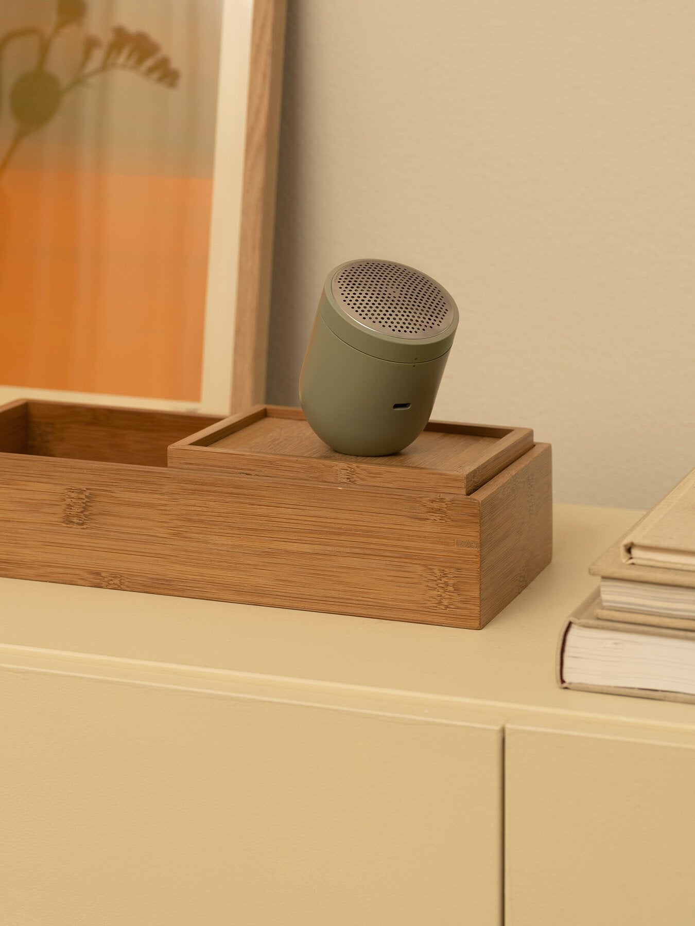 Pilo No.2 Fabric Shaver