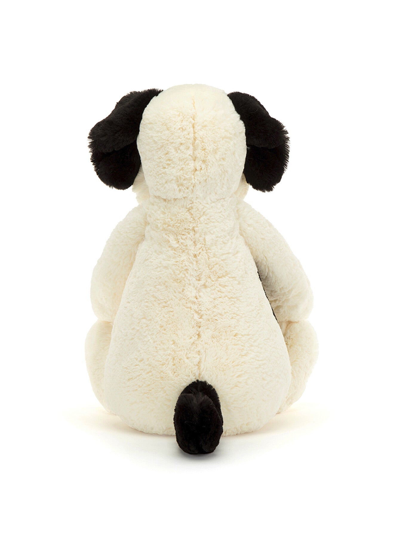 Bashful Black Cream Puppy Really Big
