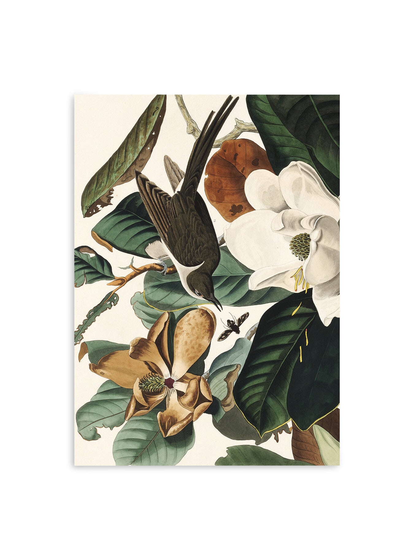 In the Magnolia Tree West