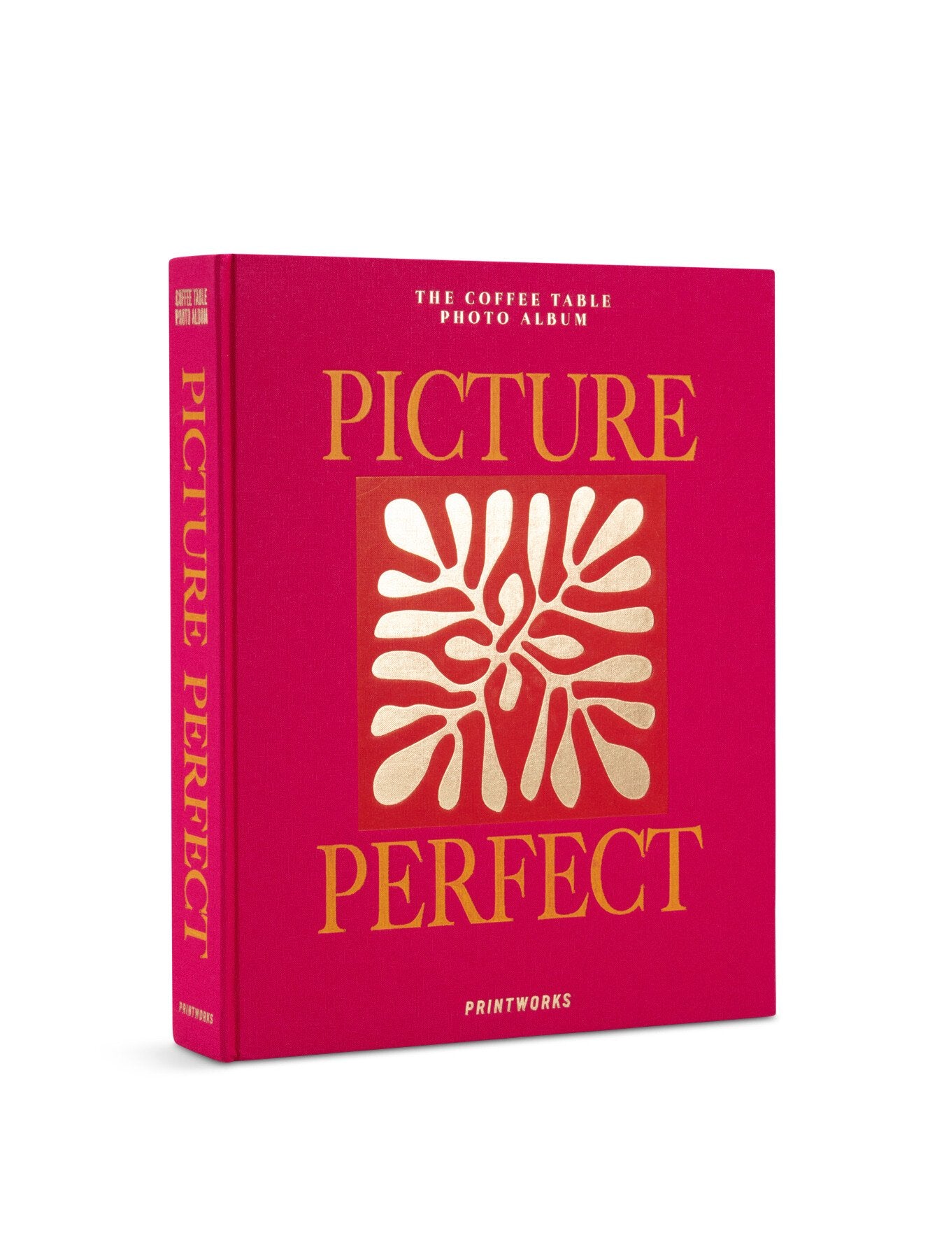 Photo Album - Picture Perfect