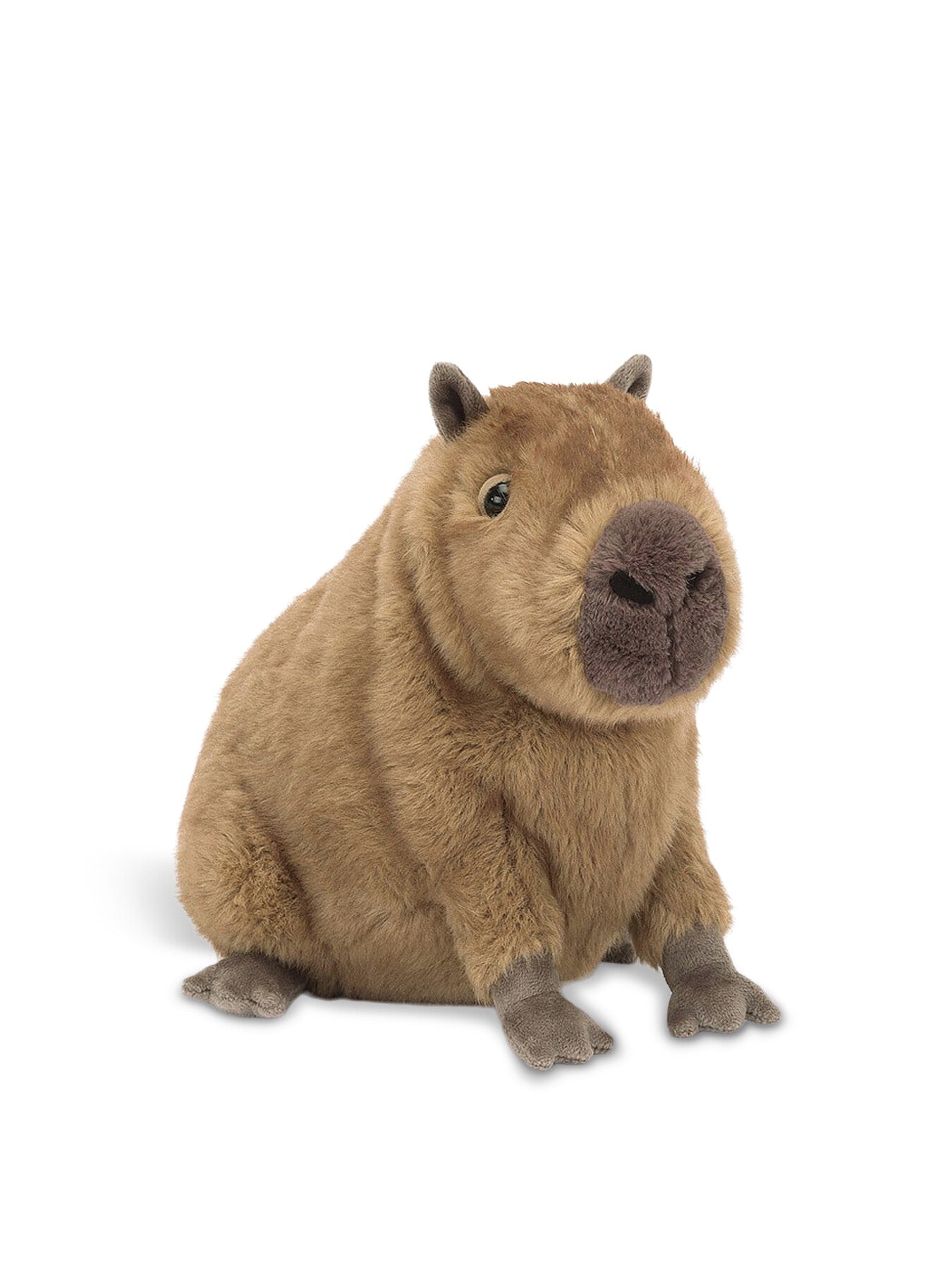 Clyde Capybara