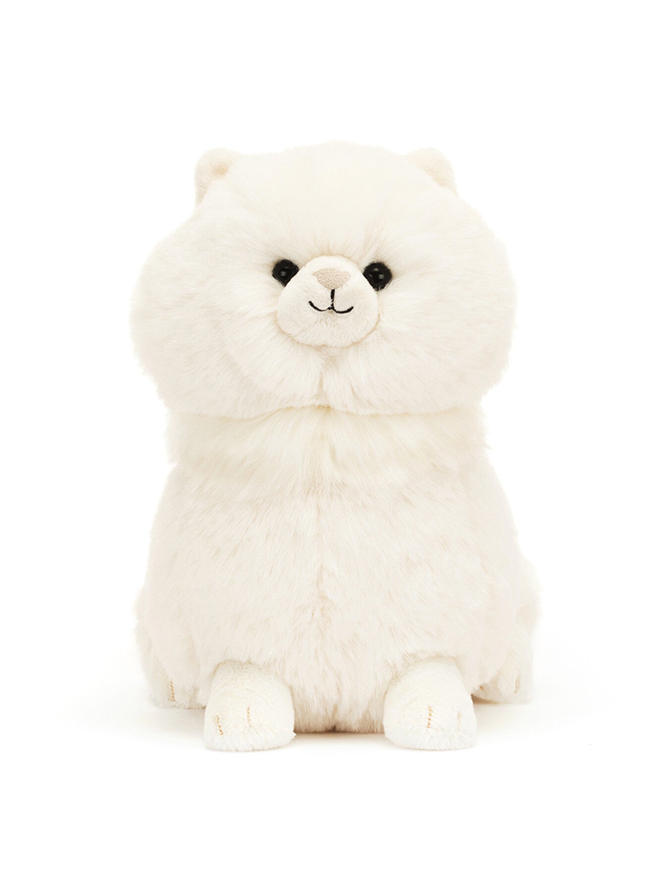 Carissa Persian Cat