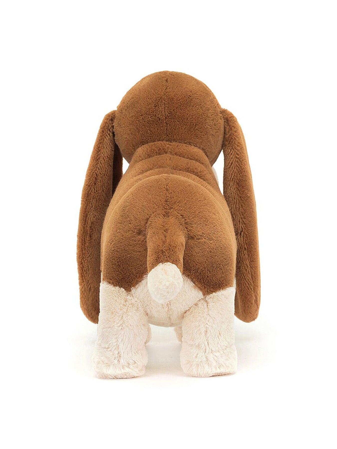 Randall Basset Hound