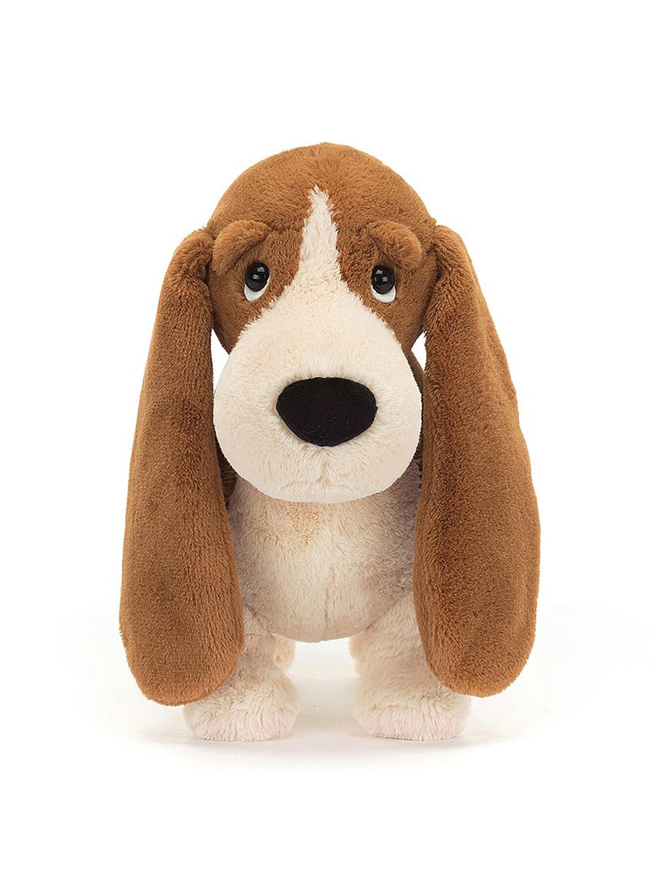 Randall Basset Hound