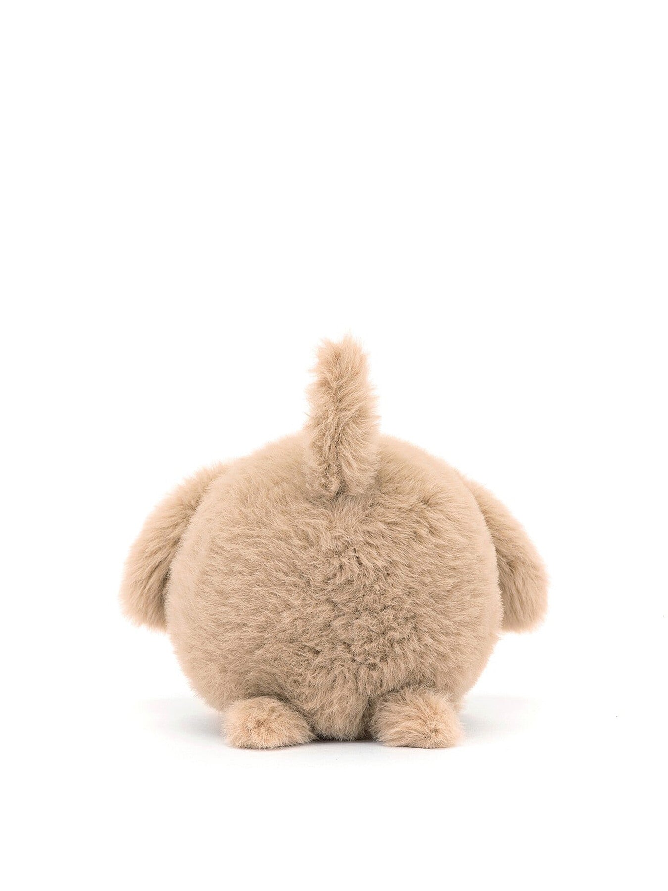 Caboodle Puppy