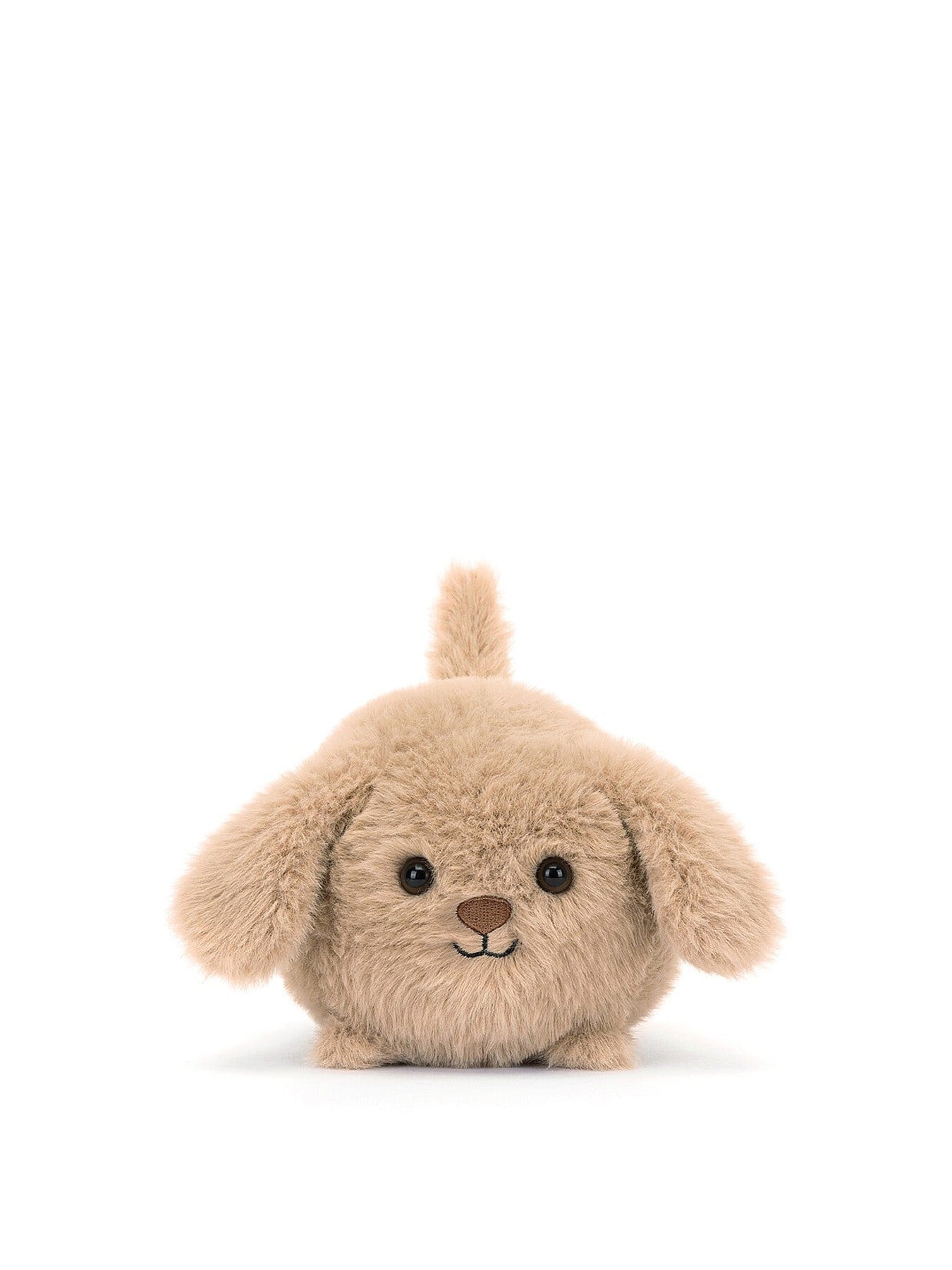 Caboodle Puppy