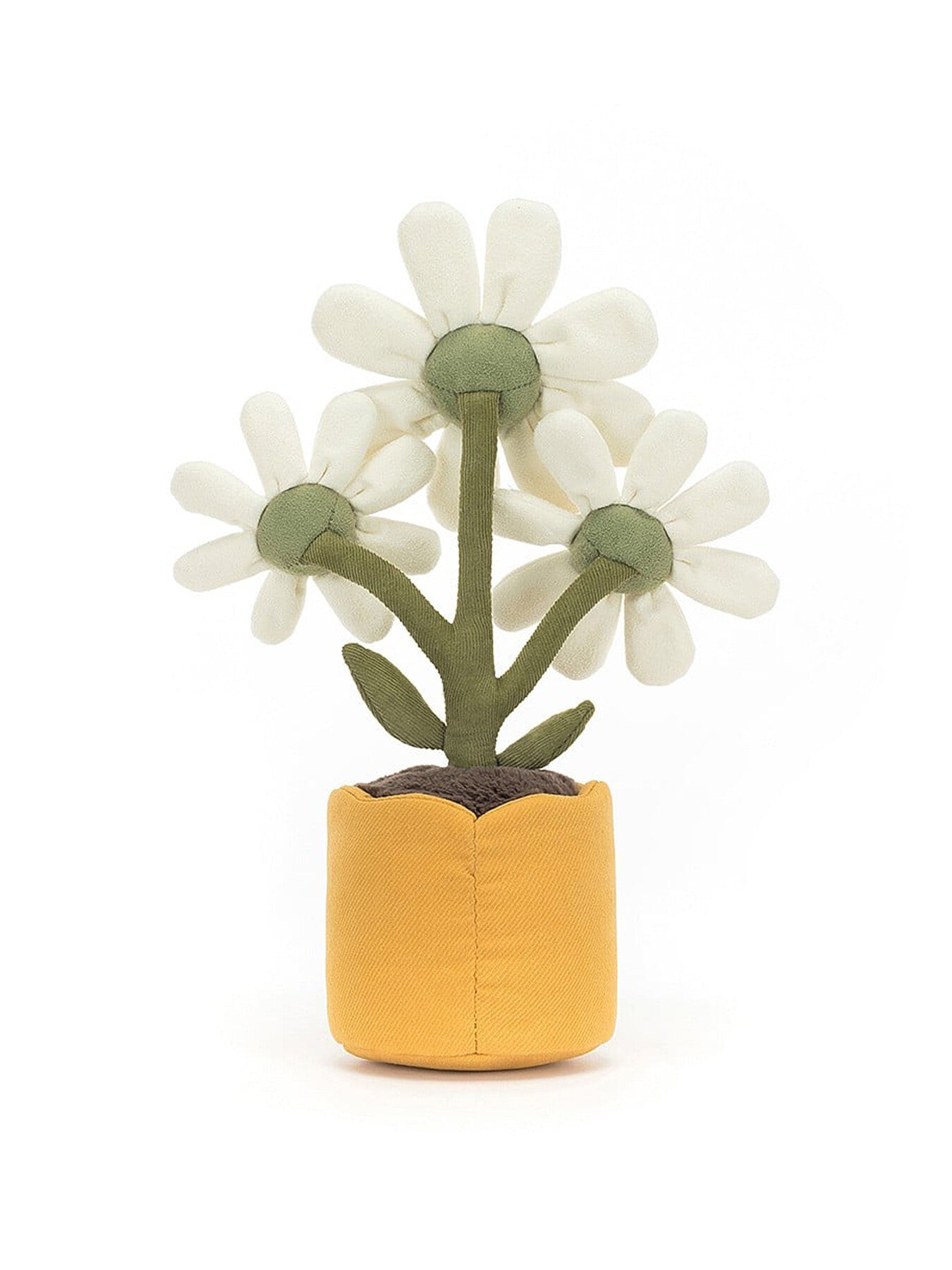 Amuseable Daisy