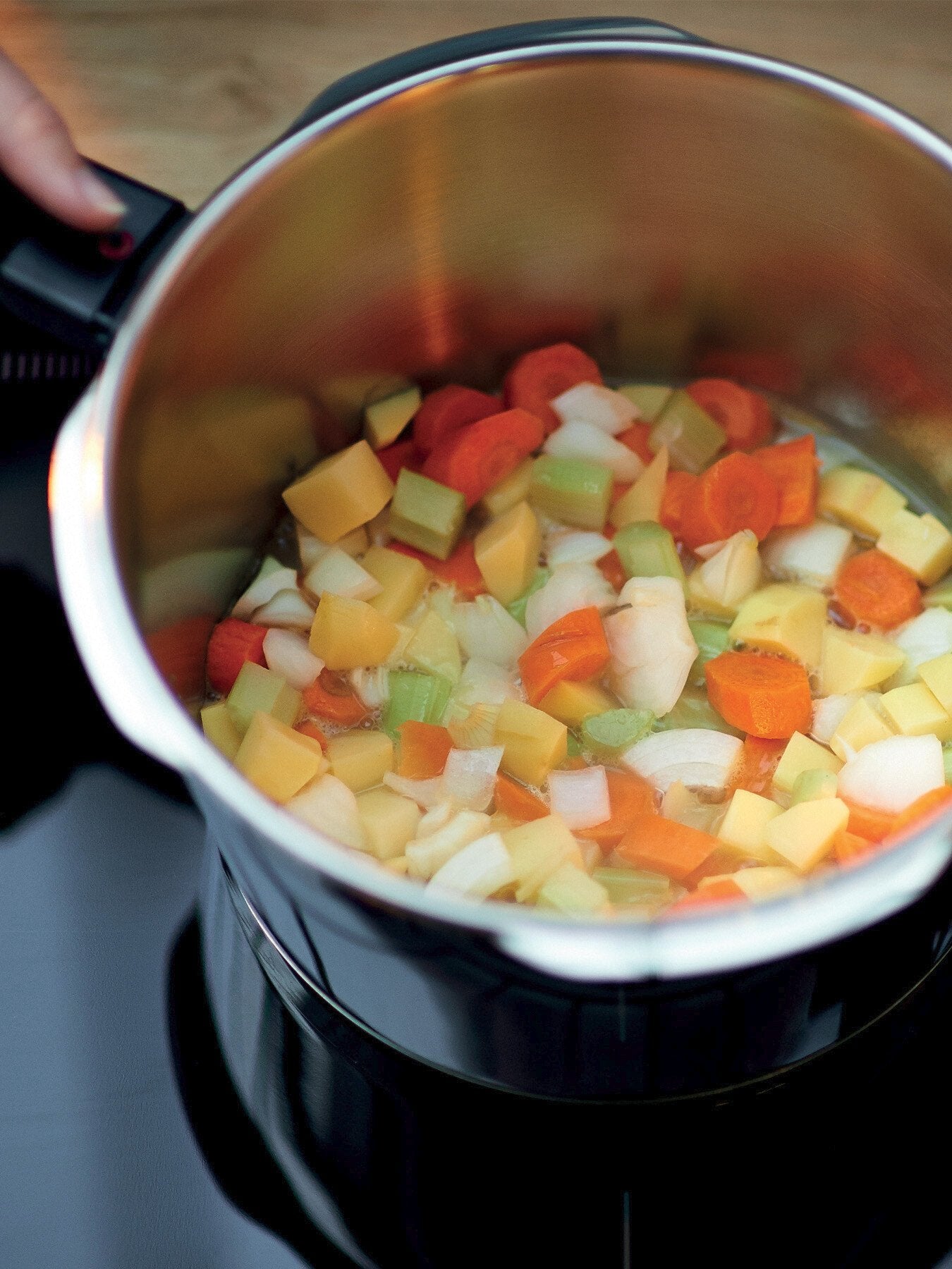 Vitaquick Premium Pressure Cooker 26cm