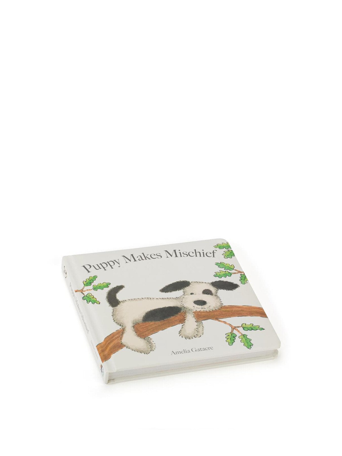 Puppy Makes Mischief Book