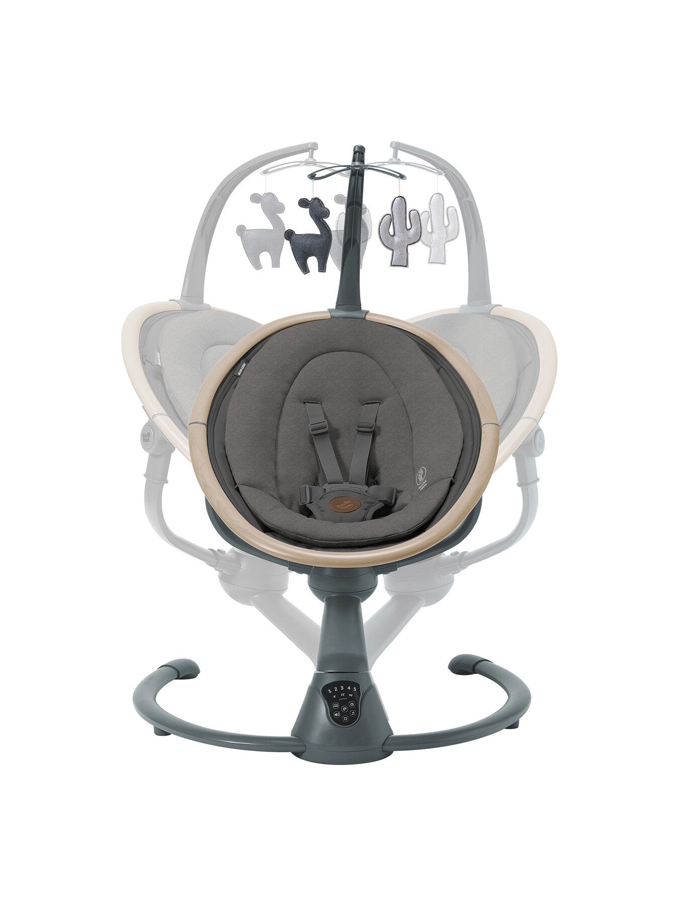 Cassia Electric Swing