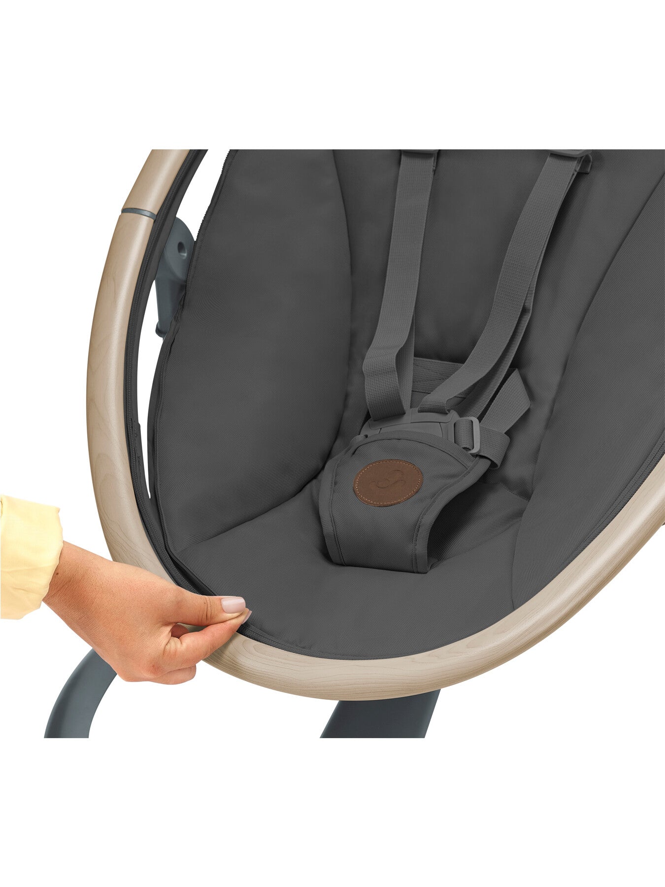 Cassia Electric Swing