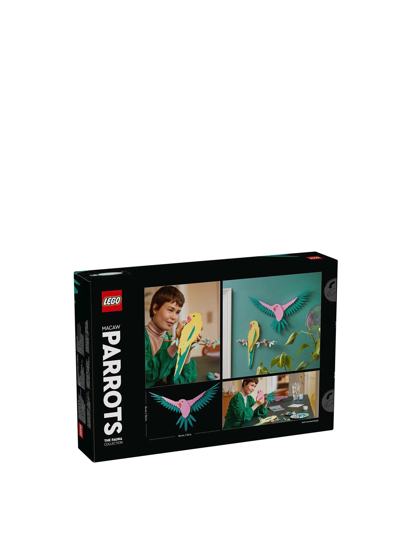 tbd-Art-1-2024 31211