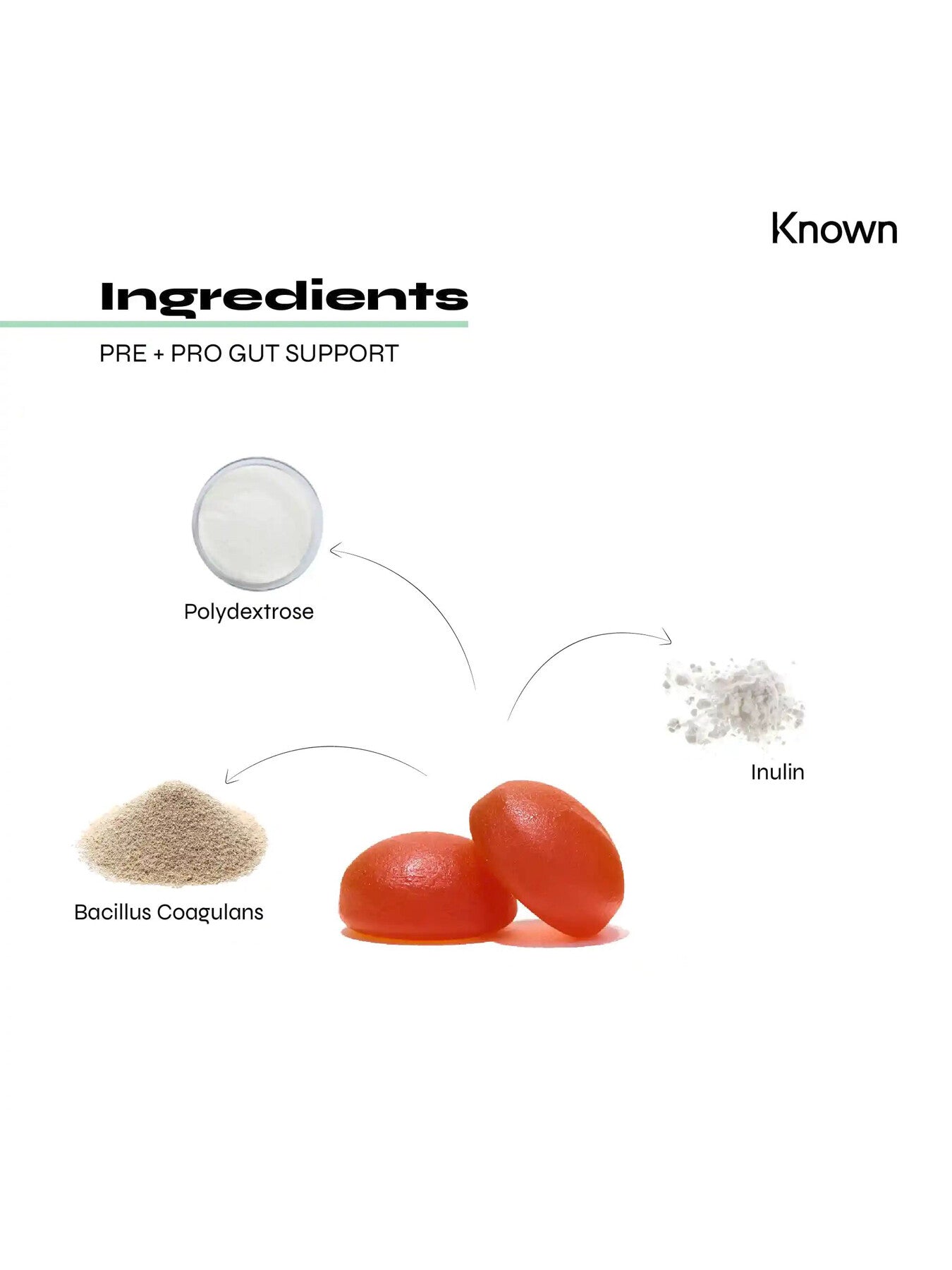 Pre And Pro Gut Support Vegan Gummies