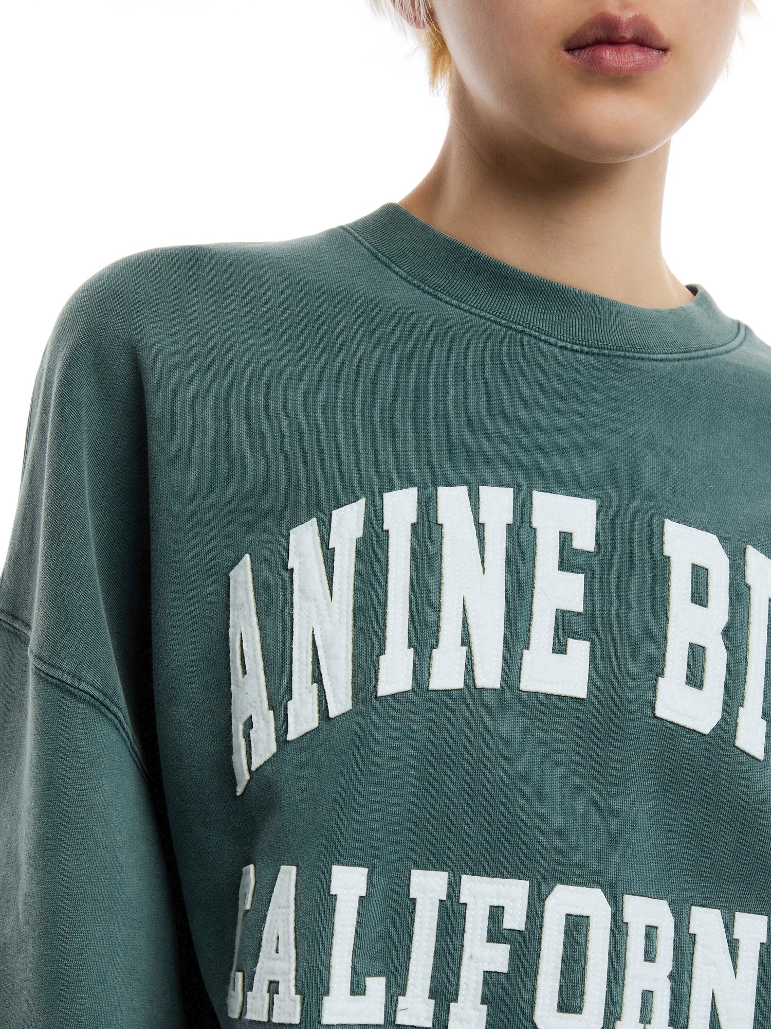 AB SWTSHRT MILES ANINE BING - WASHED DARK SAGE