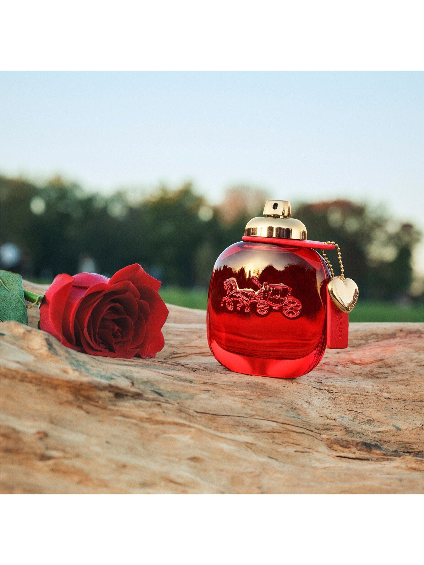 Love Eau de Parfum 50ml