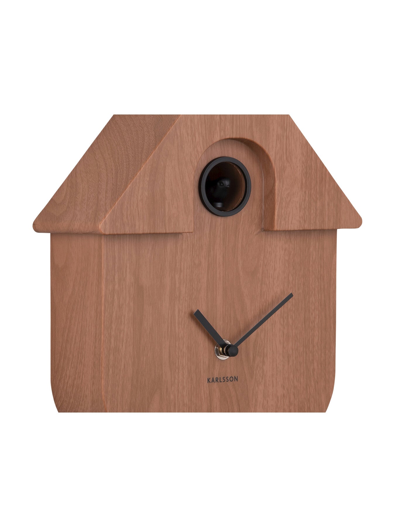 Modern Cuckoo Clock