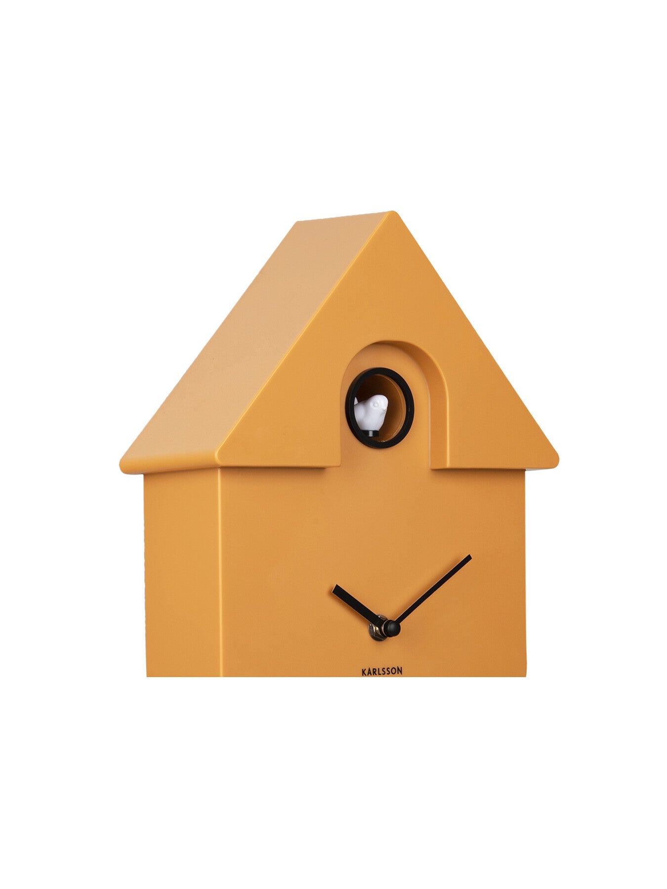 Modern Cuckoo Clock