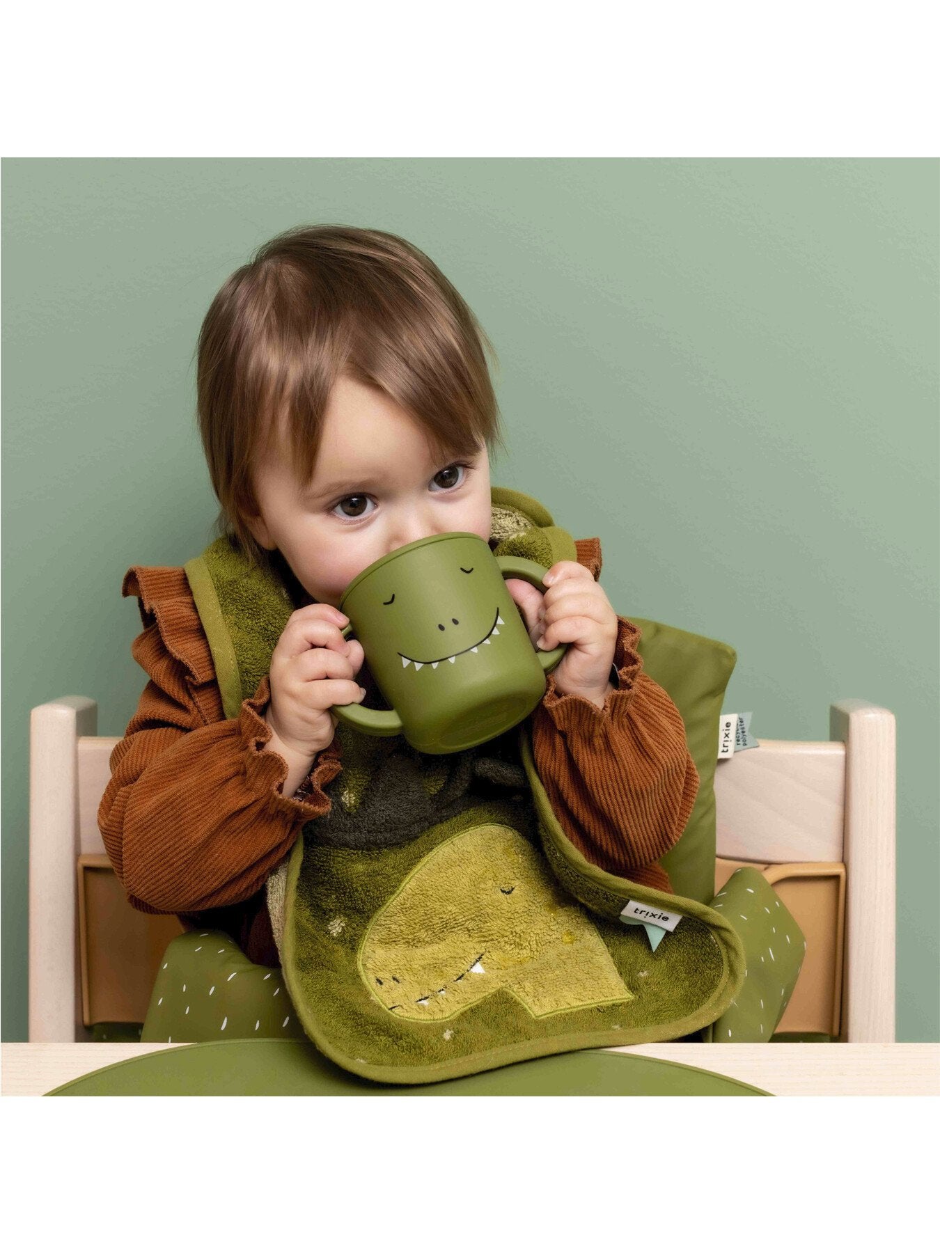 Mr Dino Silicone Sippy Cup