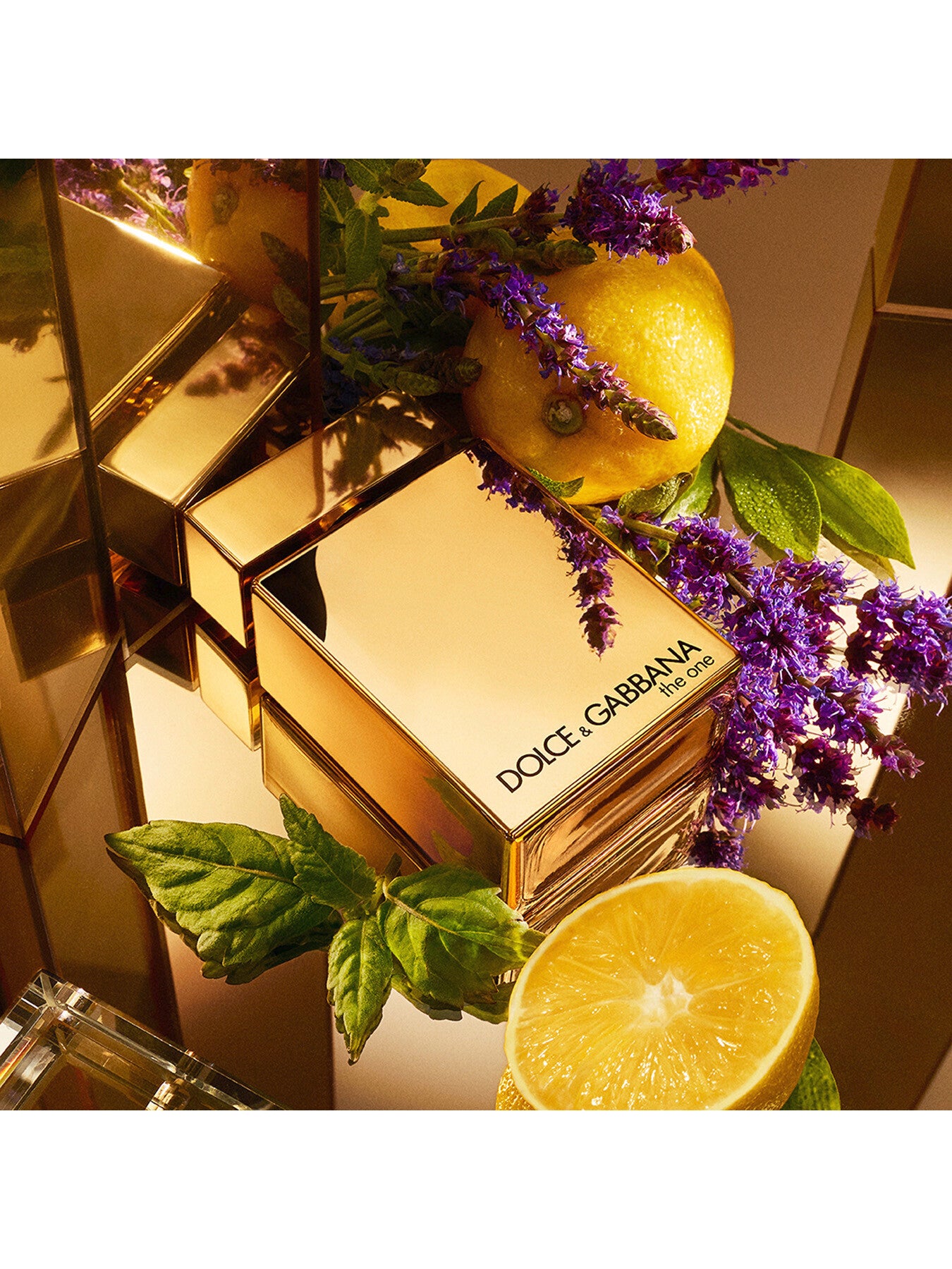 The One for Men Gold  Eau de Parfum Intense 50ml