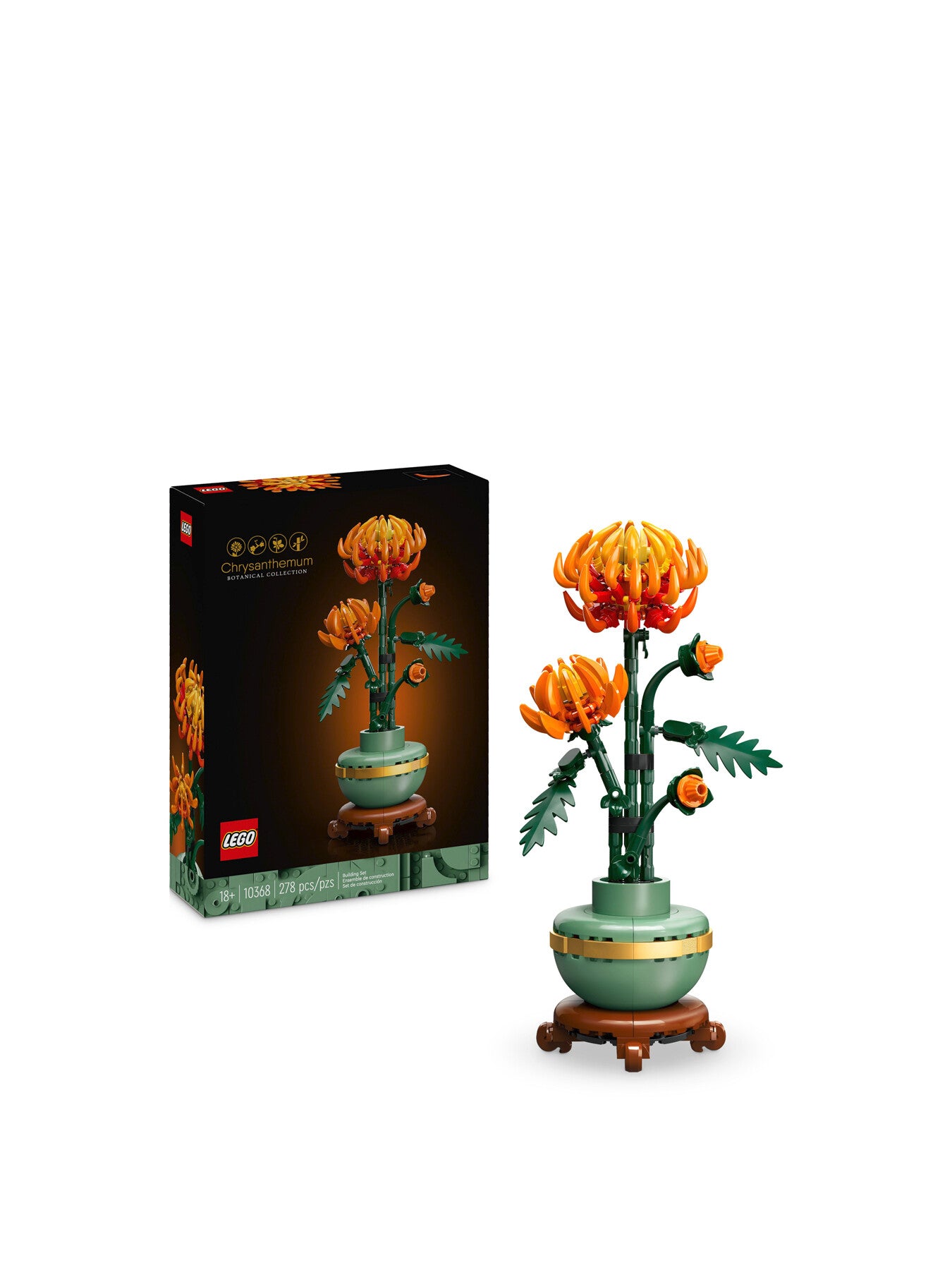 Chrysanthemum Flower Set for Adults 10368
