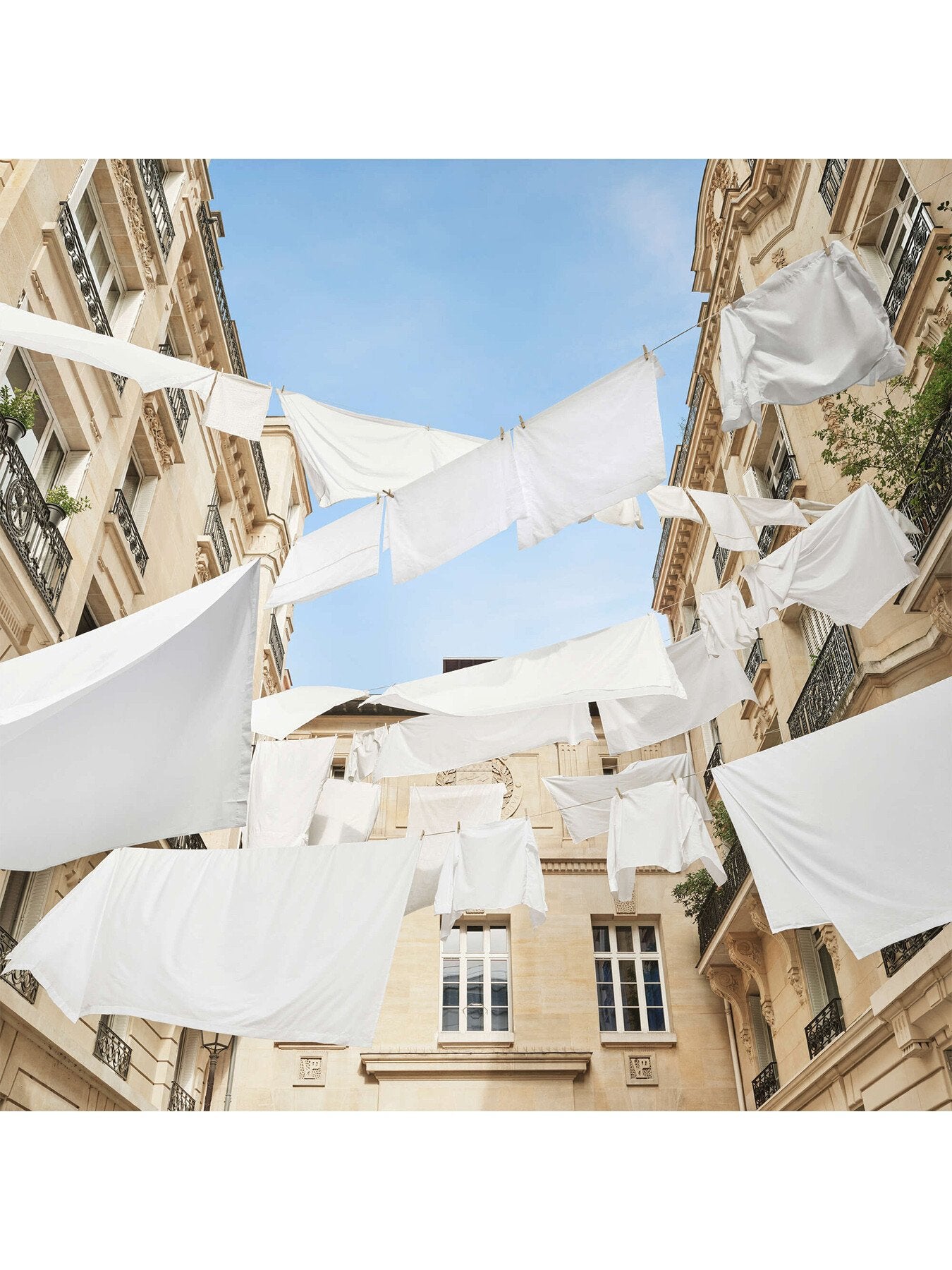 Aqua Universalis Scented Scented Fabric Softener 1L