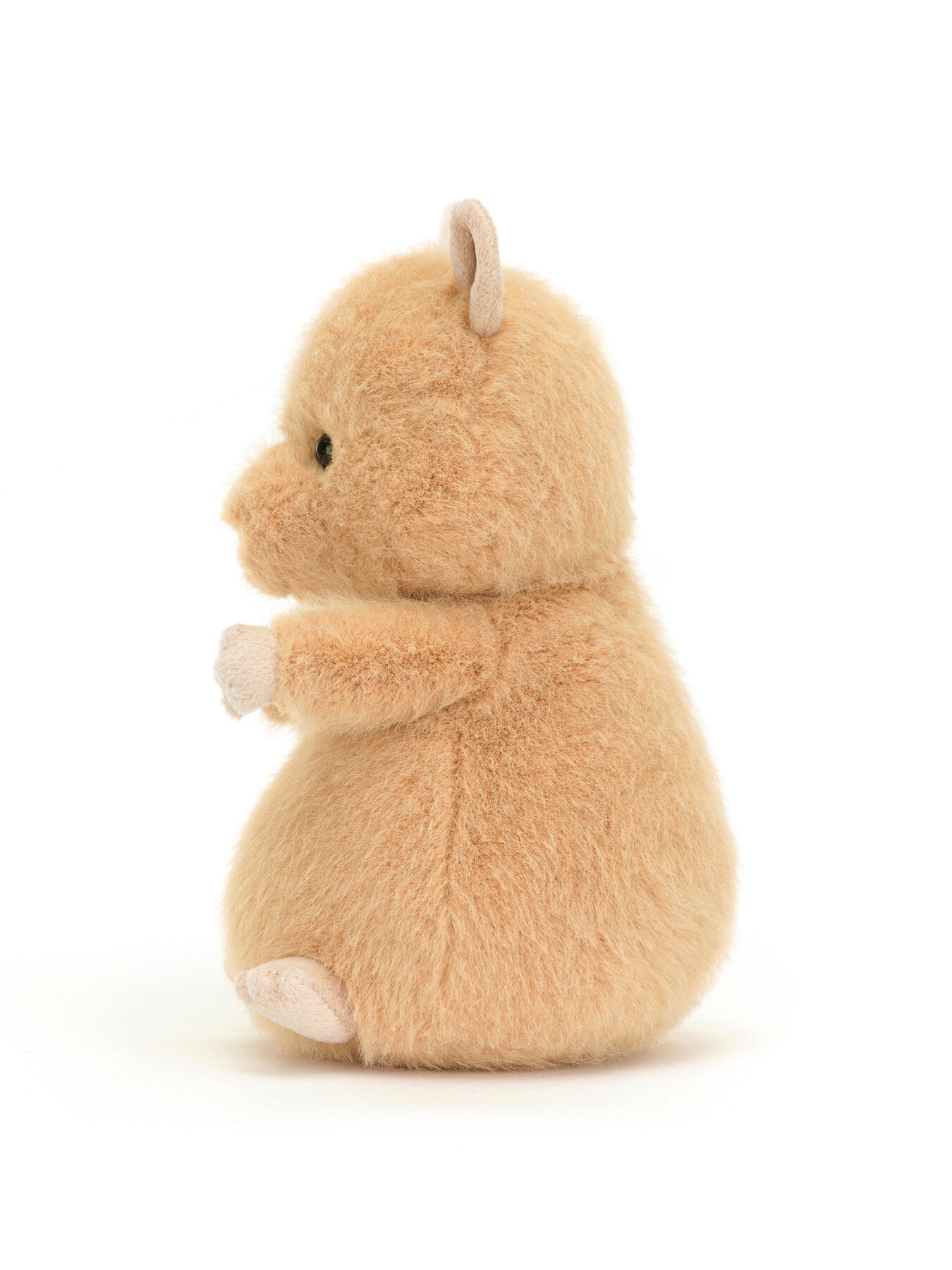 Hank Hamster