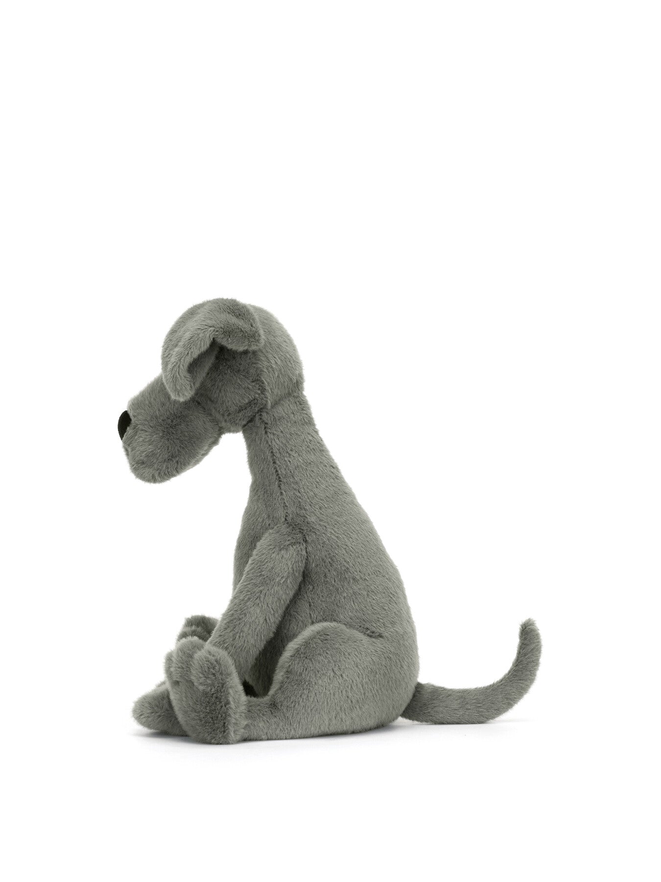 Zeus Great Dane