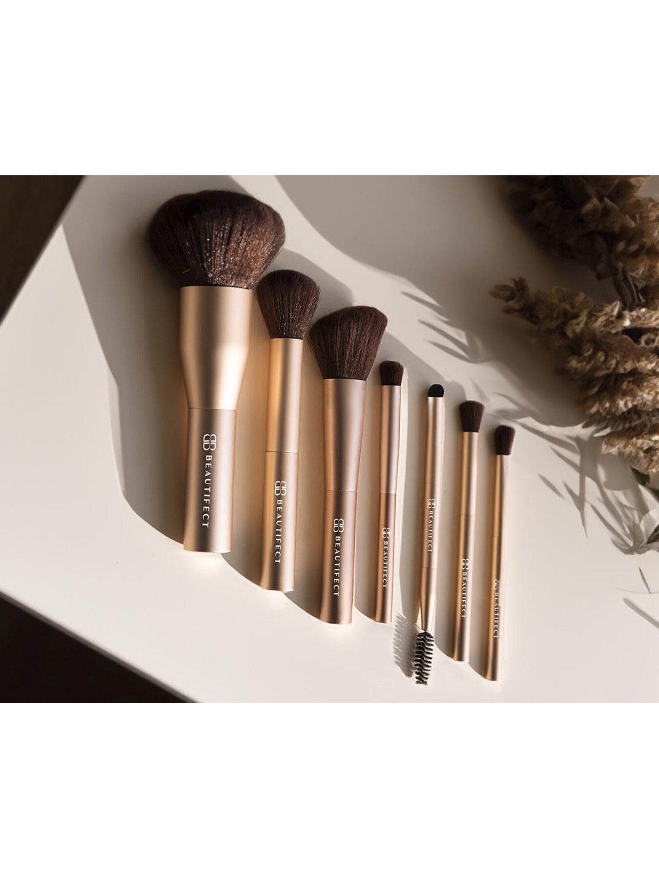 Professional Brush Collection