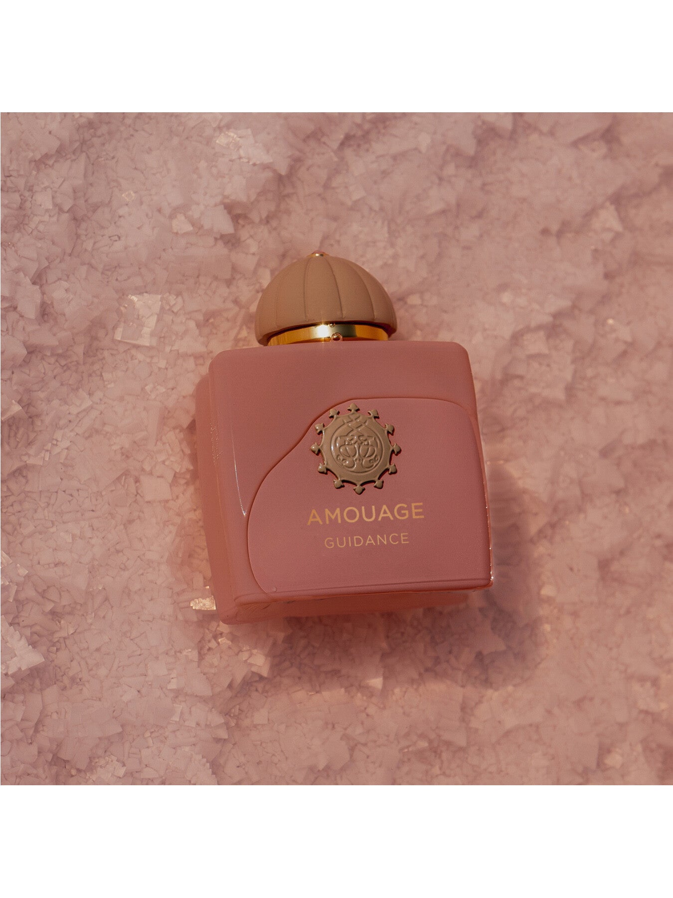 Guidance Eau de Parfum 100ml – Fenwick