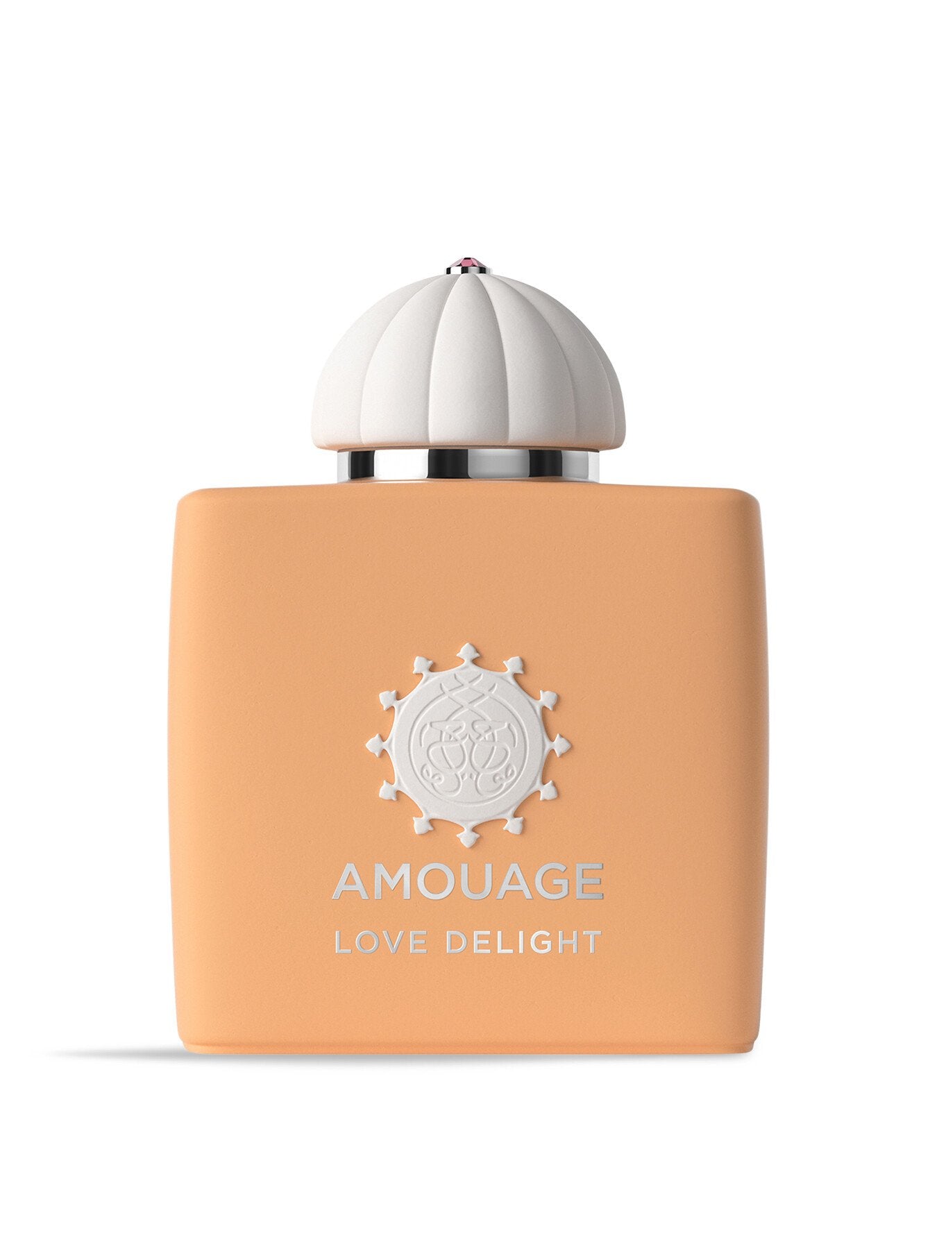 Guidance Eau de Parfum 100ml – Fenwick