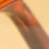 Toffee Tort/Amber Tint