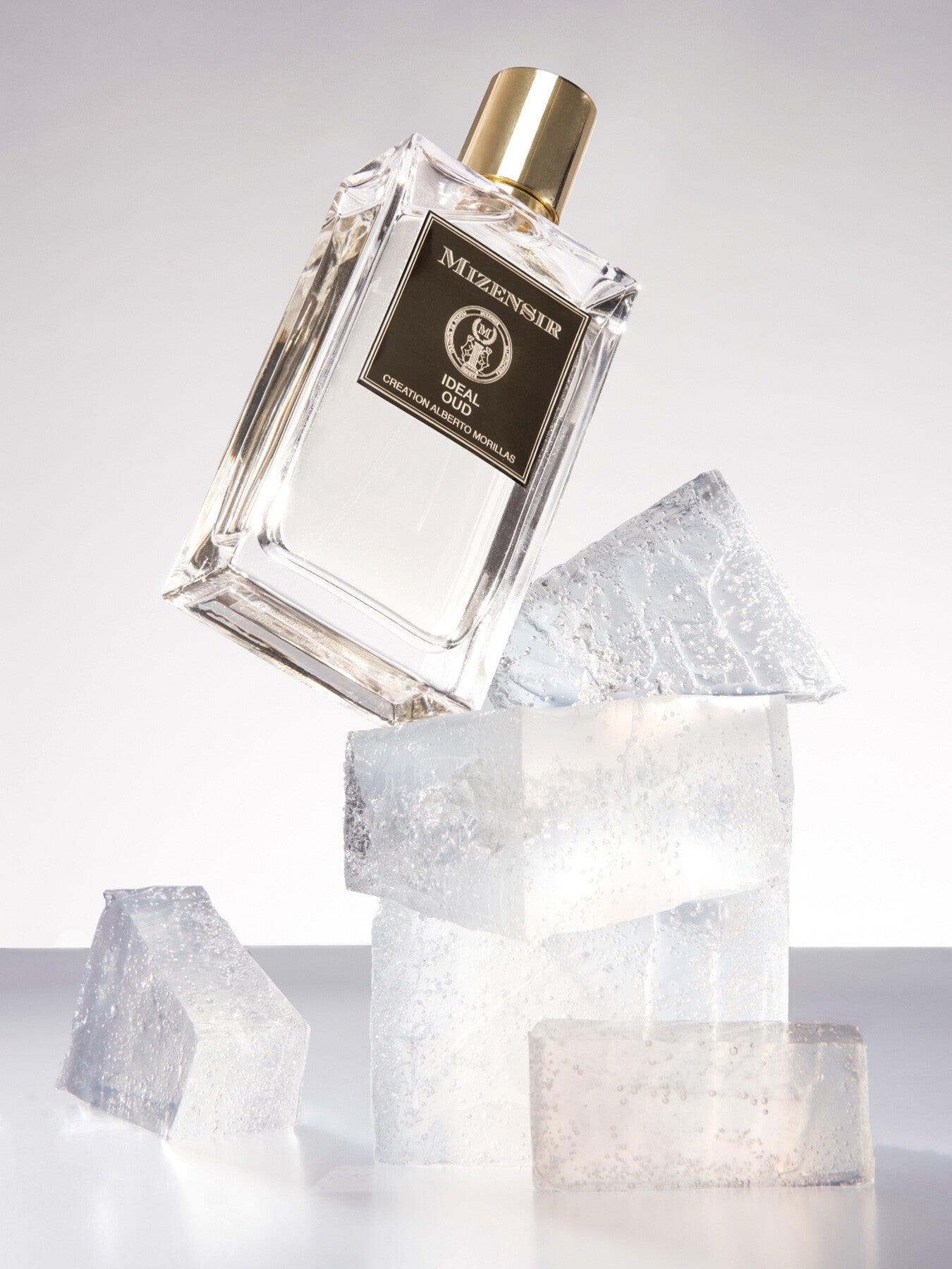 Ideal Oud Eau de Parfum 100ml