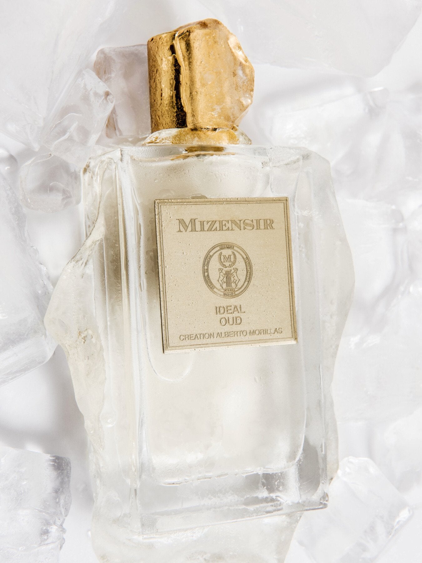 Ideal Oud Eau de Parfum 100ml