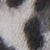Leopard 6