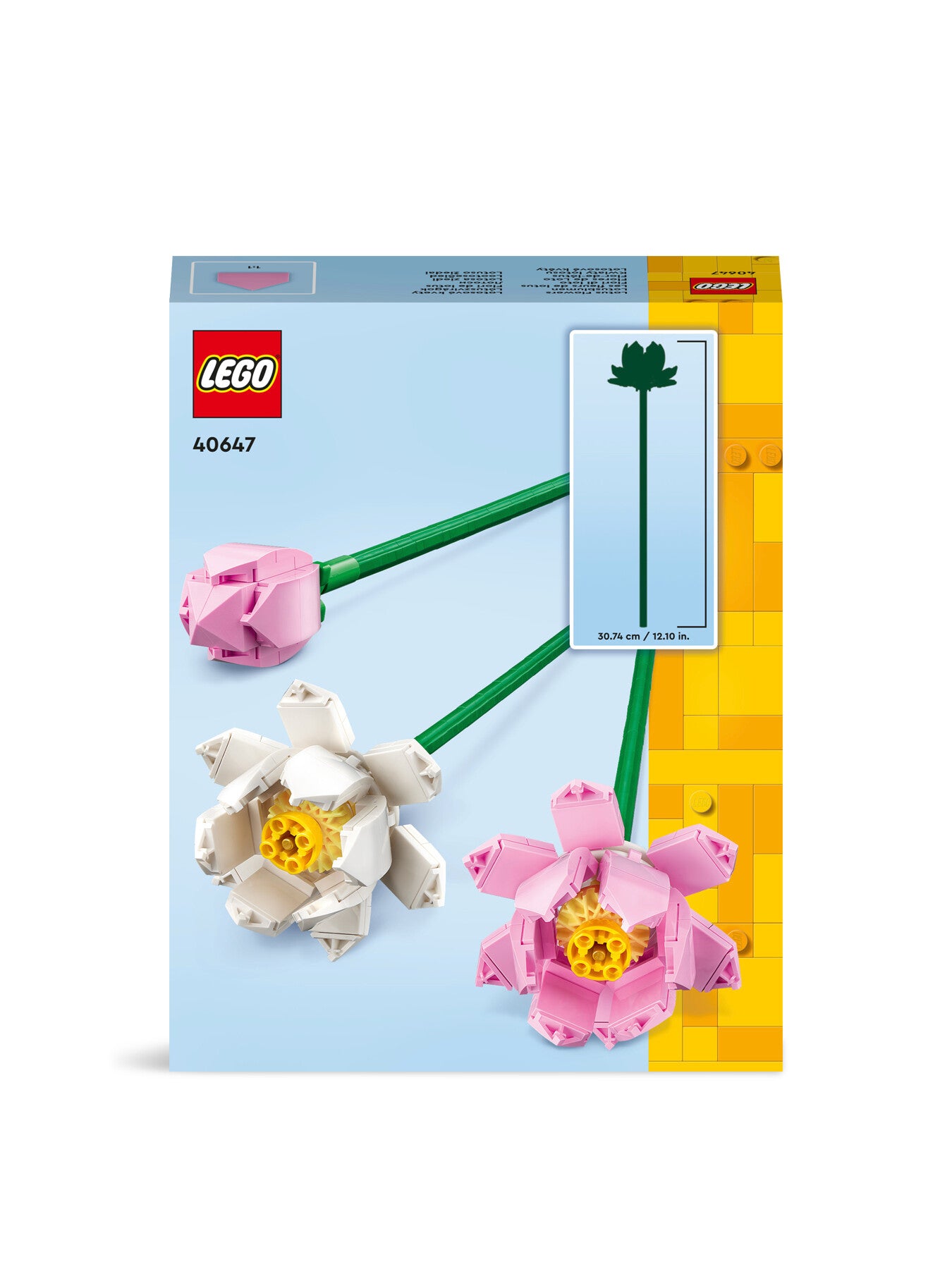 Lotus Flowers 40647